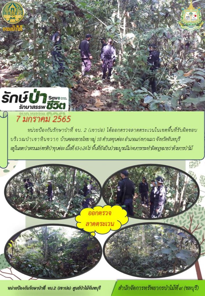 วันที่ 7 มกราคม 2565 หน่วยป้องกันรักษาป่าที่ จบ.2 (เขาปอ) ได้ออกตรวจลาดตระเวนในเขตพื้นที่รับผิดชอบ บริเวณป่าเขาหินขวาก บ้านคลองยายไทย หมู่ที่ 18 ตำบลขุนซ่อง อำเภอแก่งหางแมว จังหวัดจันทบุรี อยู่ในเขตป่าสงวนแห่งชาติป่าขุนซ่อง เนื้อที่ 63-1-24 ไร่ พื้นที่ยังเป็นป่าสมบูรณ์ ไม่พบการกระทำผิดกฎหมายว่าด้วยการป่าไม้