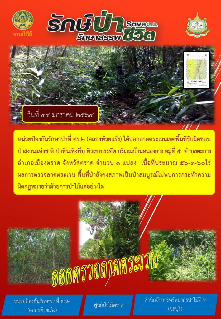 วันที่ 14 มกราคม 2565 หน่วยป้องกันรักษาป่าที่ ตร.2 (คลองห้วยแร้ง) ได้ออกกลาดตระเวนเขตพื้นที่รับผิดชอบบริเวณป่าสงวนแห่งชาติ ป่าหินเพิงทึบ บริเวณบ้านหนองยาง หมู่ที่ 5 ตำบลตะกาง อำเภอเมืองตราด จังหวัดตราด จำนวน 1 แปลง เนื้อที่ประมาณ 65-3-60 ไร่ ผลการตรวจลาดตระเวน พพื้นที่ป่ายังคงสภาพเป็นป่าสมบูรณ์ ไม่พบการกระทำความผิดตามกฎหมายว่าด้วยการป่าไม้แต่อยางใด