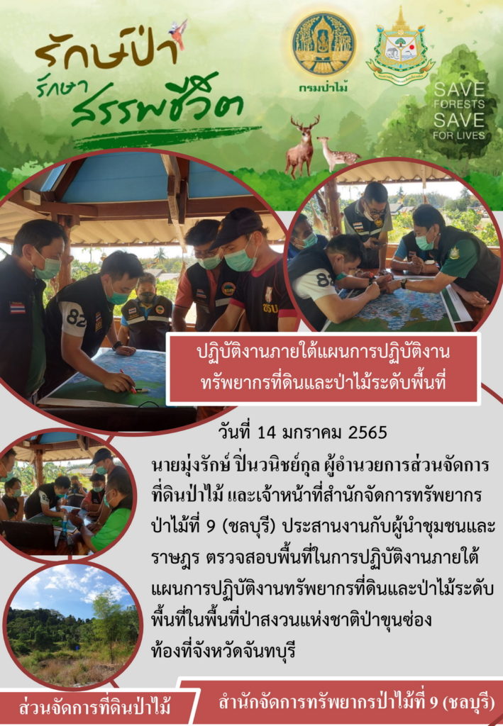 วันที่ 14 มกราคม 2565 นายมุงรักษ์ ปิ่นวนิชย์กุล ผู้อำนวยการส่วนจัดการที่ดินป่าไม้ และเจ้าหน้าที่สำนักจัดการทรัพยากรป่าไม้ที่ 9 (ชลบุรี) แระสานงานกับผู้นำชุมชนและราษฎร ตรวจสอบพื้นที่ในการปฏิบัติงานภายใต้แผนการปฏิบัติงานทรัพยากรที่ดินและป่าไม้ระดับพื้นที่ในพื้นที่ป่าสงวนแห่งชาติป่าขุนซ่อง ท้องที่จังหวัดจันทุบรี