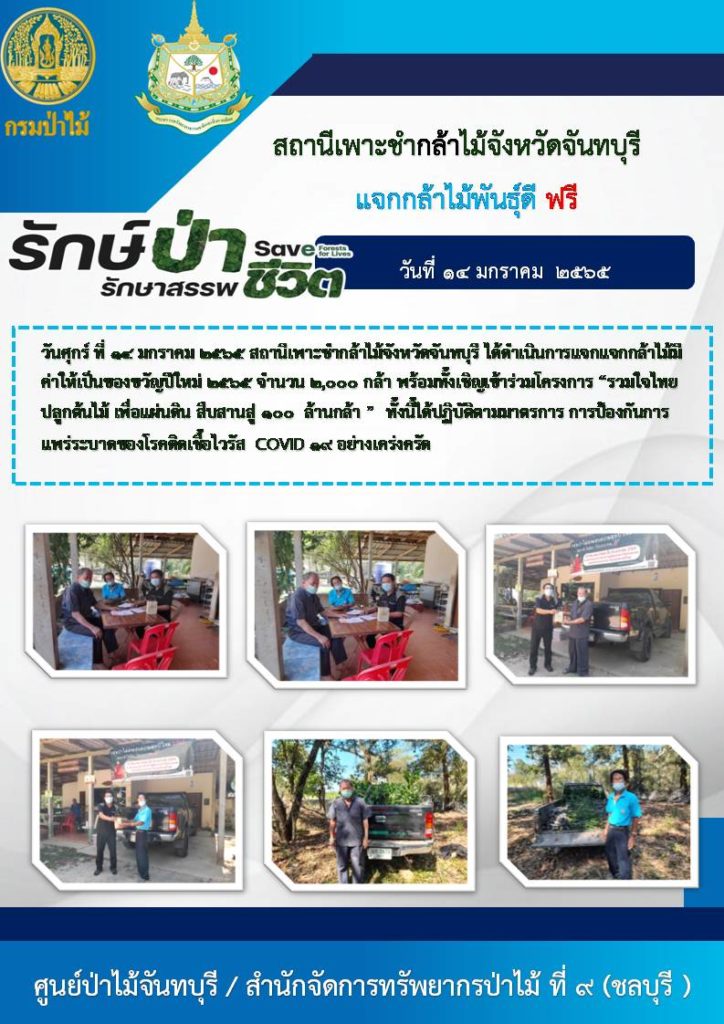 วันที่ 14 มกราคม 2565 สถานีเพาะกล้าไม้จังหวัดจันทบุรี ได้ดำเนินการแจกกล้าไม้มีค่าให้เป็นของขวัญปีใหม่ 2565 จำนวน 2,000 กล้า พร้อมทั้งเชิญชวนเข้าร่วมโครงการ "รวมใจไทย ปลูกต้นไม้ เพื่อแผ่นดิน สืบสานสู่ 100 ล้านต้น" ทั้งนี้ได้ปฏิบัติตามมาตรการป้องกันการแพร่ระบาดของโรคติดเชื้อไวรัสโคโรนา 2019 (COVID - 19) อย่างเคร่งครัด