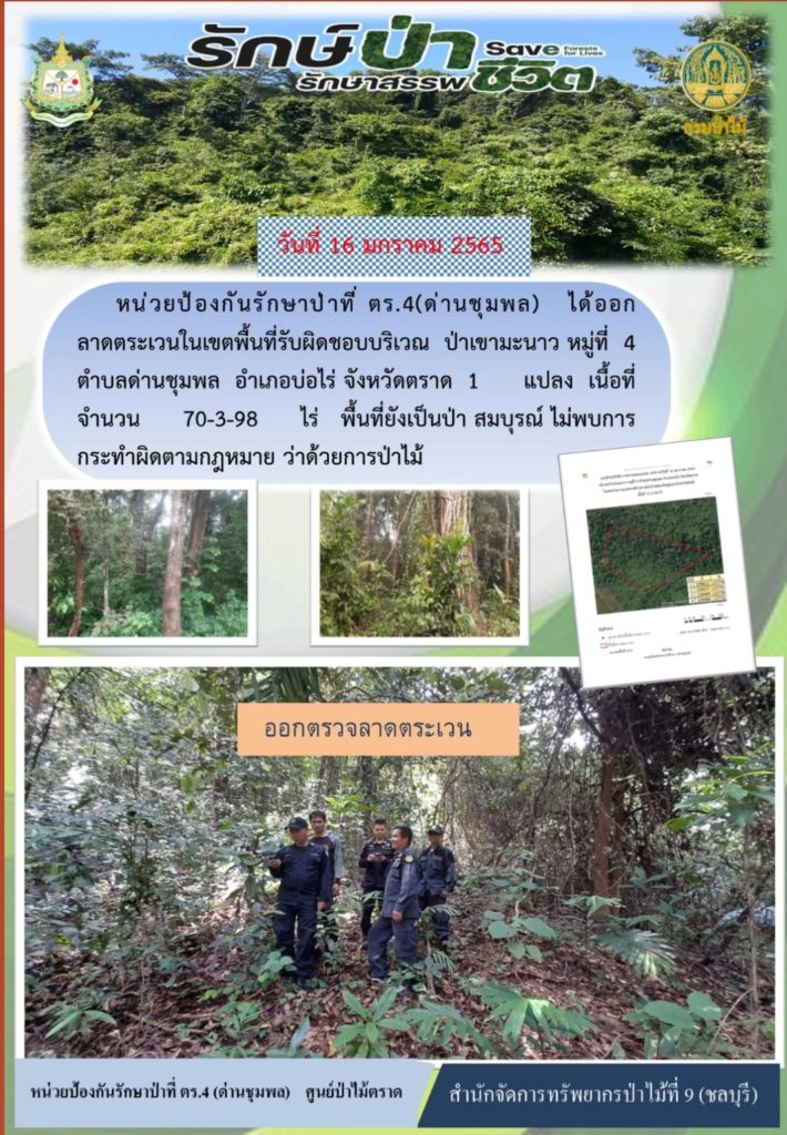 วันที่ 16 มกราคม 2565 หน่วยป้องกันรักษาป่าที่ ตร.4 (ด่านชุมพล) ได้ออกลาดตระเวนในเขตพื้นที่รับผิดชอบบริเวณป่าเขามะนาว หมู่ที่ 4 ตำบลด่านชุมพล อำเภอบ่อไร่ จังหวัดตราด จำนวน 1 แปลง เนื้อที่ 70-3-98 ไร่ พื้นที่ยังเป็นป่าสมบูรณ์ ไม่พบการกระทำผิดตามกฎหมายว่าด้วยการป่าไม้