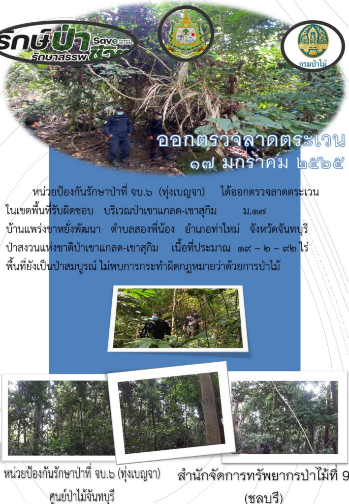 มกราคม 2565 หน่วยป้องกันรักษาป่าที่ จบ.6 (ทุ่งเบญจา) ได้ออกตรวจลาดตระเวนในเขตพื้นที่รับผิดชอบ บริเวณป่าเขาแกลด-เขาสุกิม หมู่ที่ 17 บ้านแพร่งขาหยั่งพัฒนา ตำบลสองพี่น้อง อำเภอท่าใหม่ จังหวัดจันทบุรี เนื้อที่ประมาณ 19-2-92 ไร่ พื้นที่ยังเป็นป่าสมบูรณ์ ไม่พบการกระทำผิดกฎหมายว่าด้วยการป่าไม้