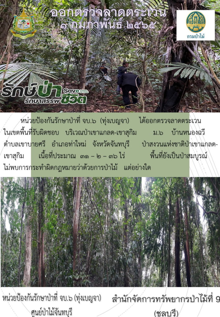 วันที่ 1 กุมภาพันธ์ 2565 หน่วยป้องกันรักษาป่าที่ จบ.6 (ทุ่งเบญจา) ได้ออกตรวจลาดตระเวรในเขตพื้นที่รับผิดชอบ บริเวณป่าเขาแกลด-เขาสุกิม หมู่ที่ 6 บ้านหนองฉวี ตำบลเขาบายศรี อำเภอท่าใหม่ จังหวัดจันทบุรี ป่าสงวนแห่งชาติป่าเขาแกลด-เขาสุกิม เนื้อที่ประมาณ 31-2-36 ไร่ พื้นที่ยังเป็นป่าสมบูรณ์ ไม่พบการกระทำผิดกฎหมายว่าด้วยการป่าไม้