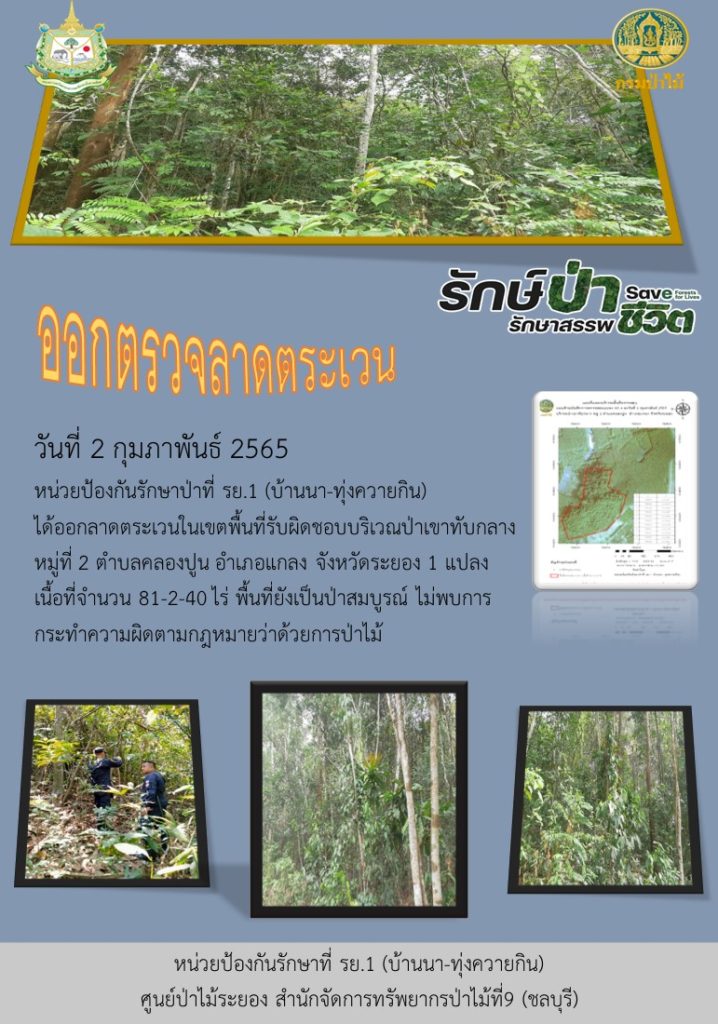 วันที่ 2 กุมภาพันธ์ 2565 หน่วยป้องกันรักษาป่าที่ รย.1 (บ้านนา-ทุ่งควายกิน) ได้ออกลาดตระเวนในเขตพื้นที่รับผิดชอบบริเวณป่าเขาทับกลาง หมู่ที่ 2 ตำบลคลองปูน อำเภอแกลง จังหวัดระยอง จำนวน 1 แปลง เนื้อที่ 81-2-40 ไร่ พื้นที่ยังเป็นป่าสมบูรณ์ ไม่พบการกระทำความผิดตามกฎหมายว่าด้วยการป่าไม้