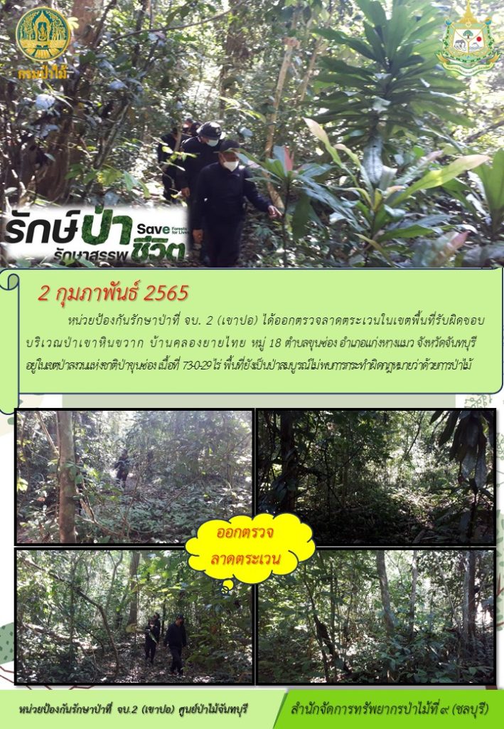 วันที่ 2 กุมภาพันธ์ 2565 หน่วยป้องกันรักษาป่าที่ จบ.2 (เขาปอ) ได้ออกตรวจลาดตระเวนในเขตพื้นที่รับผิดชอบบริเวณป่าเขาหินขวาก บ้านคลองยายไทย หมู่ที่ 18 ตำบลขุนซ่อง อำเภอแก่งหางแมว จังหวัดจันทบุรี อยู่ในเขตป่าสงวนแห่งชาติป่าขุนซ่อง เนื้อที่ 73-0-29 ไร่ พื้นที่ยังเป็นป่าสมบูรณ์ ไม่พบการกระทำผิดกฎหมายว่าด้วยการป่าไม้