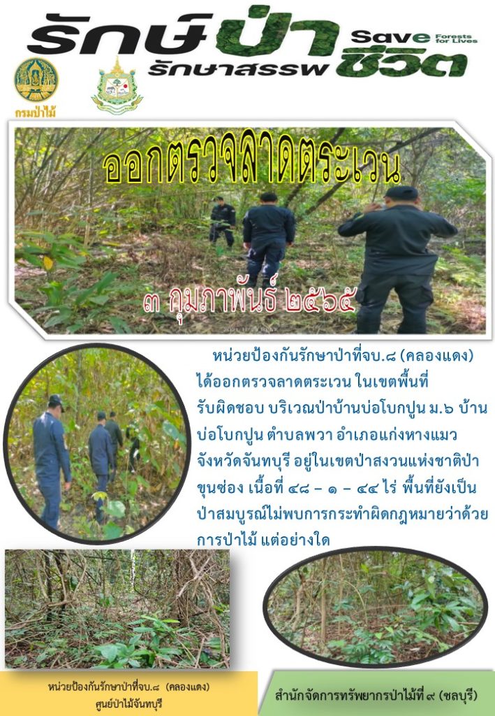 วันที่ 3 กุมภาพันธ์ 2565 หน่วยป้องกันรักษาป่าที่ จบ.8 (คลองแดง) ได้ออกตรวจลาดตระเวนในเขตพื้นที่รับผิดชอบ บริเวณป่าบ้านบ่อโบกปูน หมู่ที่ 6 บ้านบ่อโบกปูน จำบลพวา อำเภอแก่งหางแมว จังหวัดจันทบุรี อยู่ในเขตป่าสงวนแห่งชาติป่าขุนซ่อง เนื้อที่ 48-1-44 ไร่ พื้นที่ยังเป็นป่าสมบูรณ์ ไม่พบการกระทำผิดกฎหมายว่าด้วยการป่าไม้แต่อย่างใด