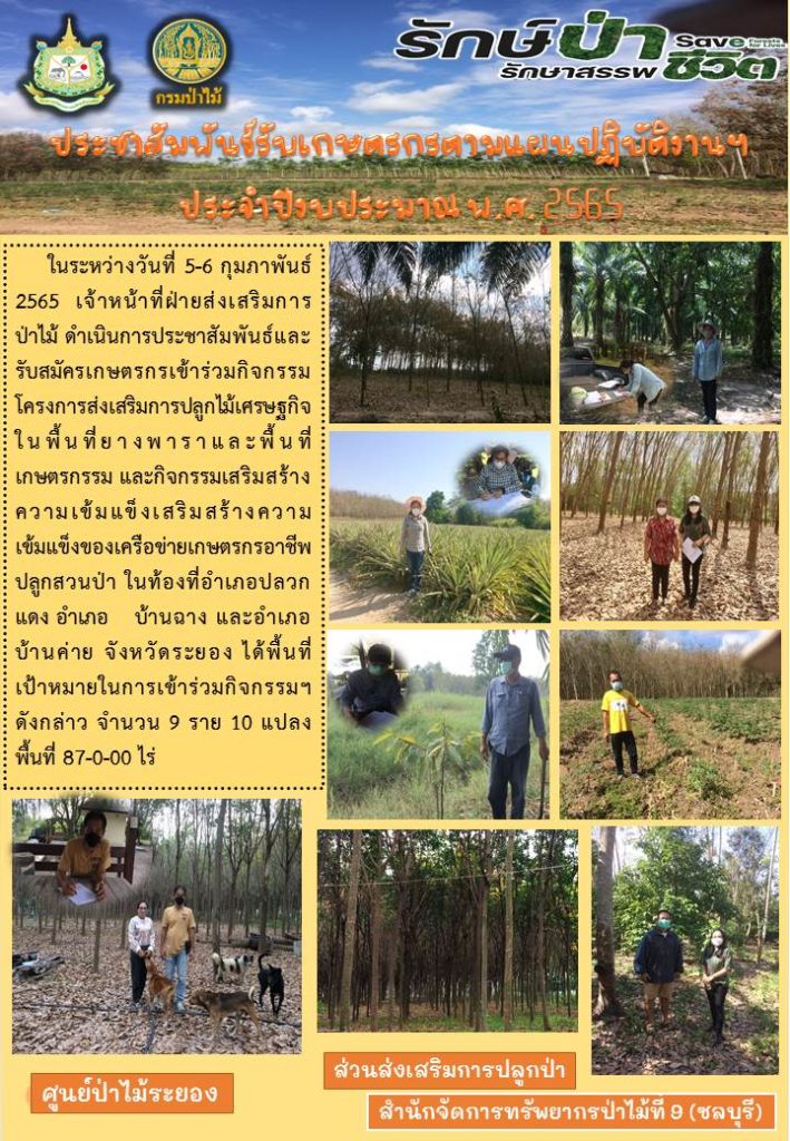 วันที่ 5-6 กุมภาพันธ์ 2565 เจ้าหน้าที่ฝ่ายส่งเสริมการป่าไม้ ดำเนินการประชาสัมพันธ์ และรับสมัครเกษตรกรเข้าร่วมกิจกรรมโครงการส่งเสริมการปลูกป่าไม้เศรษฐกิจในพื้นที่ยางพาราและพื้นที่เกษตรกรรม และกิจกรรมส่งเสริมความเข็มแข็งของเครือข่ายเกษตรกรอาชีพปลูกสวนป่า ในท้องที่่อำเภอปลวกแดง อำเภอบ้านฉาง และอำเภอบ้านคาย จังหวัดระยอง ได้พื้นที่เป้าหมายในการเข้าร่วมกิจกรรมฯ ดังกล่าว จำนวน 9 ราย 10 แปลง พื้นที่ 87-0-00 ไร่