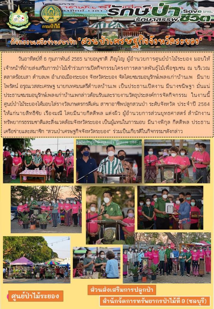 วันที่ 6 กุมภาพันธ์ 2565 นายอนุชาติ ภิญโญ ผู้อำนวยการศูนย์ป่าไม้ระยอง มอบให้เจ้าหน้าที่ฝ่ายส่งเสริมการป่าไม้เข้าร่วมกิจกรรมโครงการตลาดพันธุ์ไม้เพื่อชุมชน ณ บริเวณตลาดร้อยเสา ตำบลเพ อำเภอเมืองระยอง จังหวัดระยอง จัดโดยชมรมอนุรักษ์เพลงเก่าบ้านเพ มีนายไพรัตน์ อรุณเวสสะเศรษฐ นายกเทศมนตรีตำบลบ้านเพ เป็นประธานเปิดงาน มีนางขนิษฐา มั่นแน่ ประธานชมชนอนุรักษ์เพลงเก่าบ้านเพกล่าวต้อนรับและรายงานวัตถุประสงค์การจัดกิจกรรม ในงานนี้ศูนย์ป่าไม้ระยองได้มอบโล่รางวัลเกษตรกรดีเด่น สาขาอาชีพปลูกสวนป่า ระดับจังหวัด ประจำปี 2564 ให้แก่นายสิทธิชัย เรืองมณี โดยนายกิตติพล แต่งผิว ผู้อำนวยการส่วนยุทธศาสตร์ สำนักงานทรัพยากรธรรมชาติและสิ่งแวดล้อมจังหวัดระยอง เป็นผู้แทนในการมอบ มีนางพิกุล กิตติพล ประธานเครือข่ายและสมาชิก "สวนป่าเศรษฐกิจจังหวัดระยอง" ร่วมเป็นเกียรติในกิจกรรมฯ ดังกล่าว