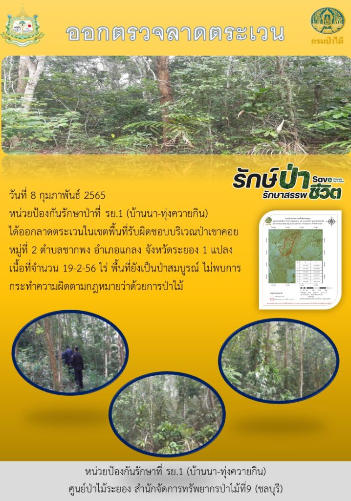 วันที่ 8 กุมภาพันธ์ 2565 หน่วยป้องกันรักษาป่าที่ รย.1 (บ้านนา-ทุ่งควายกิน) ได้ออกลาดตระเวนในเขตพื้นที่รับผิดชอบ บริเวณป่าเขาคอย หมู่ที่ 2 ตำบลชากพง อำเภอแกลง จังหวัดระยอง จำนวน 1 แปลง เนื้อที่ 19-2-56 ไร่ พื้นที่ยังเป็นป่าสมบูรณ์ ไม่พบการกระทำผิดตามกฎหมายว่าด้วยการป่าไม้