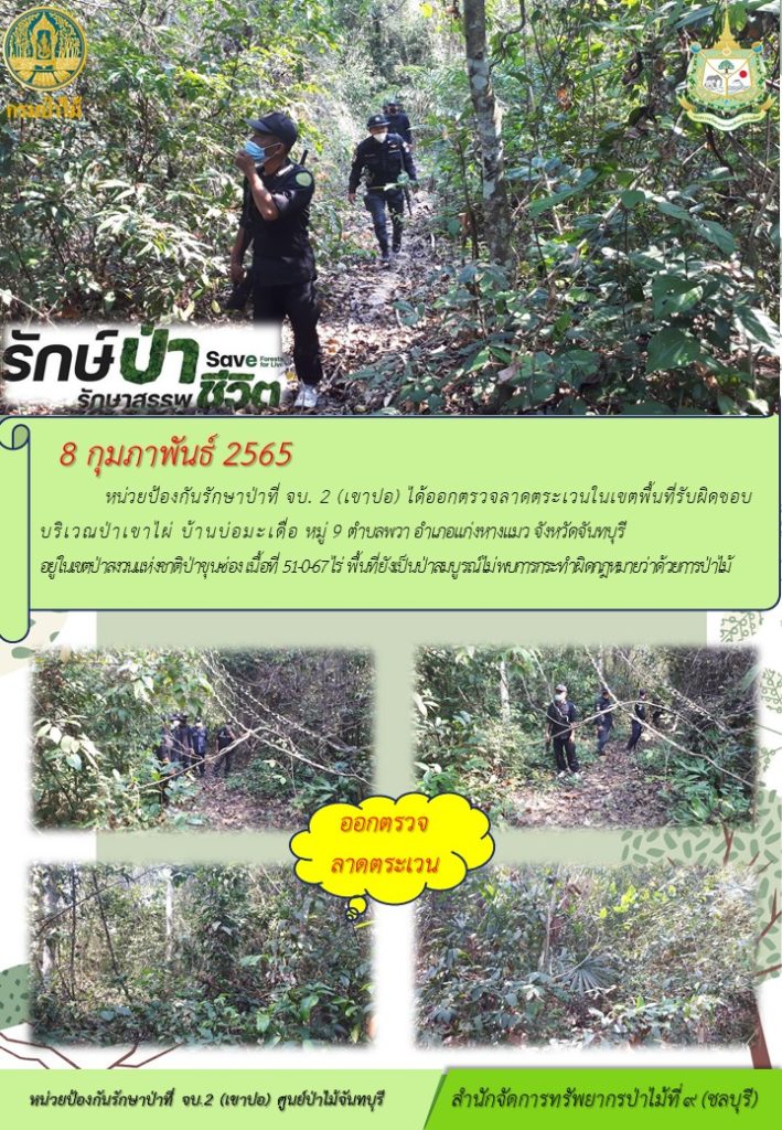 วันที่ 8 กุมภาพันธ์ 2565 หน่วยป้องกันรักษาป่าที่ จบ.2 (เขาปอ) ได้ออกตรวจลาดตระเวนในเขตพื้นที่รับผิดชอบบริเวณป่าเขาไผ่ บ้านบ่อมะเดื่อ หมู๋ที่ 9 ตำบลพวา อำเภอแก่งหางแมว จังหวัดจันทบุรี อยู่ในเขตป่าสงวนแห่งชาติป่าขุนซ่อง เนื้อที่ 51-0-67 ไร่ พื้นที่ยังเป็นป่าสมบูรณ์ ไม่พบการกระทำผิดกฎมายกว่าด้วยการป่าไม้