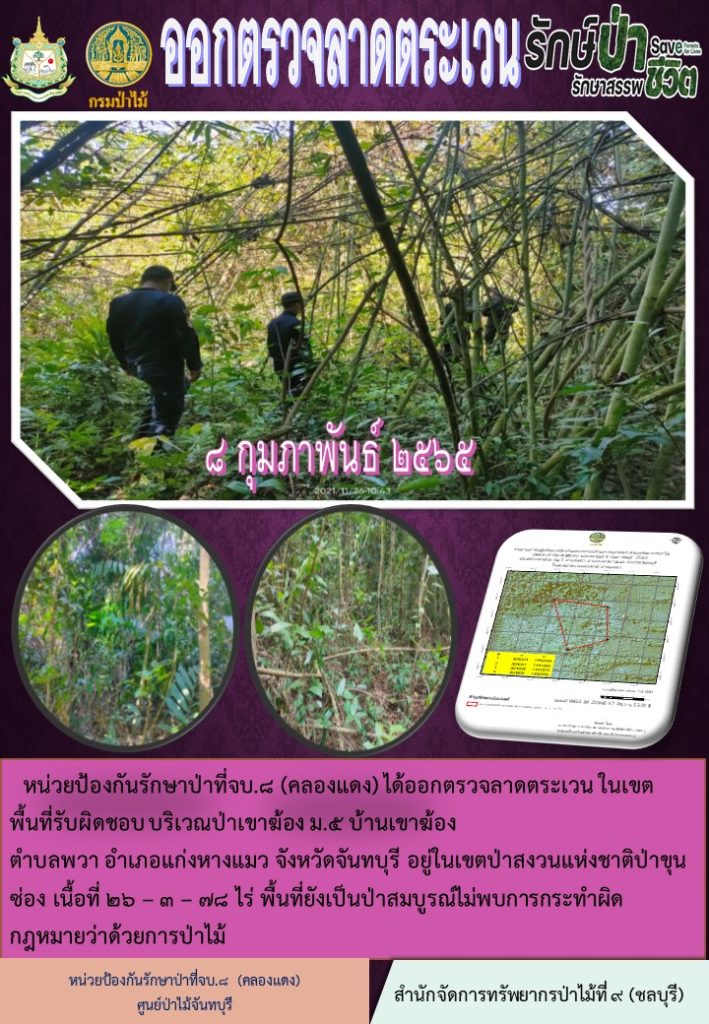 วันที่ 8 กุมภาพันธ์ 2565 หน่วยป้องกันรักษาป่าที่ จบ.8 (คลองแดง) ได้ออกตรวจลาดตระเวนในเขตพื้นที่รับผิดชอบ บริเวณป่าเขาฆ้อง หมู่ที่ 5 บ้านเขาฆ้อง ตำบลพวา อำเภอแก่งหางแมว จังหวัดจันทบุรี อยู่ในเขตป่าสงวนแห่งชาติป่าขุนซ่อง เนื้อที่ 26-3-78 ไร่ พื้นที่ยังเป็นป่าสมบูรณ์ ไม่พบการกระทำผิดกฎหมายว่าด้วยการป่าไม้