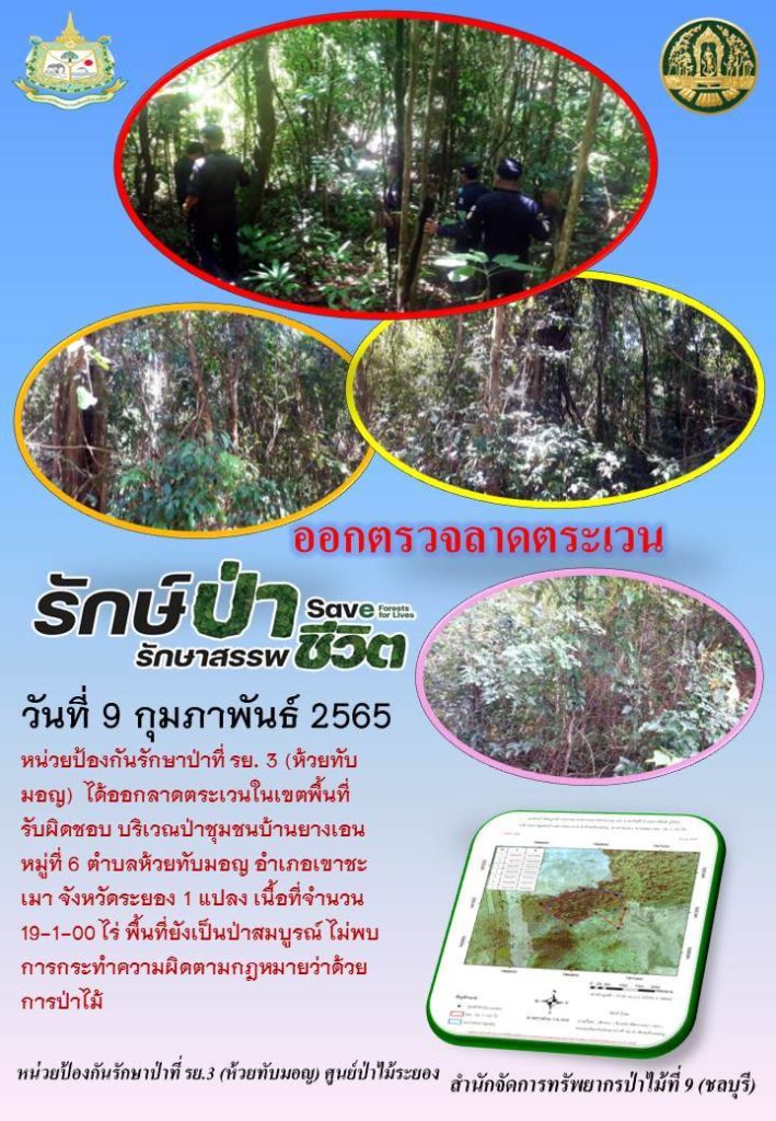 วันที่ 9 กุมภาพันธ์ 2565 หน่วยป้องกันรักษาป่าที่ รย.3 (ห้วยทับมอญ) ได้ออกลาดตระเวนในเขตพื้นที่รับผิดชอบ บริเวณป่าชุมชนบ้านยางเอน หมู่ที่ 6 ตำบลห้วยทับมอญ อำเภอเขาชะเมา จังหวัดระยอง จำนวน 1 แปลง เนื้อที่ 19-1-00 ไร่ พื้นที่ยังเป็นป่าสมบูรณ์ ไม่พบการกระทำความผิดตามกฎหมายว่าด้วยการป่าไม้