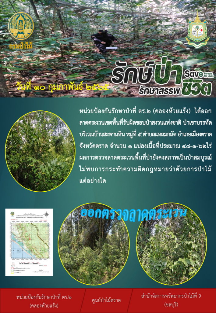 วันที่ 10 กุมภาพันธ์ 2565 หน่วยป้องกันรักษาป่าที่ ตร.2 (คลองห้วยแร้ง) ได้ออกลาดตระเวนเขตพื้นที่รับผิดชอบป่าสงวนแห่งชาติป่าเขาบรรทัด บริเวณบ้านสะพานหิน หมู่ที่ 5 ตำบลแหลมกลัด อำเภอเมืองตราด จังหวัดตราด จำนวน 1 แปลง เนื้อที่ประมาณ 48-1-62 ไร่ ผลการตรวจลาดตระเวน พื้นที่ป่ายังคงสภาพเป็นป่าสมบูรณ์ ไม่พบการกระทำความผิดตามกฎหมายว่าด้วยการป่าไม้แต่อย่างใด
