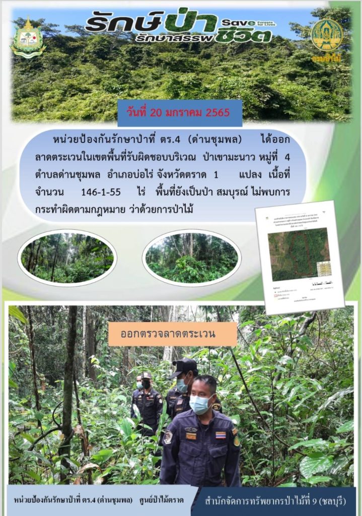 วันที่ 20 มกราคม 2565 หน่วยป้องกันรักษาป่าที่ ตร.4 (ด่านชุมพล) ได้ออกลาดตระเวนในเขตพื้นที่รับผิดชอบ บริเวณป่าเขาชะเมา หมู่ที่ 4 ตำบลด่านชุมพล อำเภอบ่อไร่ จังหวัดตราด จำนวน 1 แปลง เนื้อที่ 146-1-55 ไร่ พื้นที่ยังเป็นป่าสมบูรณ์ ไม่พบการกระทำผิดกฎหมายว่าด้วยการป่าไม้