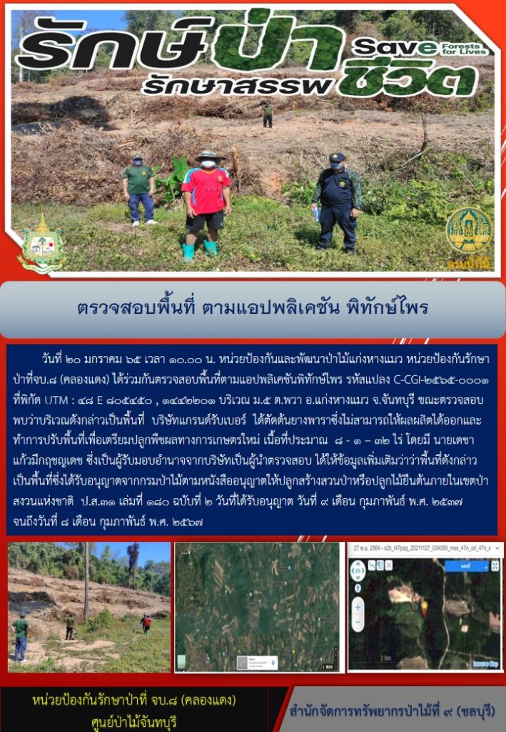 วันที่ 20 มกราคม 2565 เวลา 10.00 น. หน่วยป้องกันและพัฒนาป่าไม้แก่งหางแมว หน่วยป้องกันรักษาป่าที่ จบ.8 (คลองแดง) ได้ร่วมกันตรวจสอบพื้นที่ตามแอปพลิเคชั้นพิทักษ์ไพร รหัสแปลง C-CGI-2565-0001 พิกัด UTM:48 E 805450 N 1442201 บริเวณ หมู่ที่ 5 ตำบลพวา อำเภอแก่งหางแมว จังหวัดจันทบุรี ขณะตรวจสอบพบว่าบริเวณดังกล่าวเป็นพื้นที่ บริษัทแกรนด์รับเบอร์ ได้ตัดต้นนางพาราซึ่งไม่สามารถให้ผลผลิตได้และทำการปรับพื้นที่เพื่อเตรียมปลูกพืชผลทางการเกษตรใหม่ เนื้อที่ประมาณ 8-1-32 ไร่ โดยมีนายเดชา แก้วมีกฤชญเดช ซึ่งเป็นผู้รับมอบอำนาจจากบริษัทเป็นผู้นำตรวจสอบ ได้ให้ข้อมูลเพิ่มเติมว่าพื้นที่ดังกล่าวเป็นพื้นที่ซึ่งได้รับอนุญาตจากกรมป่าไม้ตามหนังสืออนุญาตให้ปลูกสร้างสวนป่าหรือปลูกไม้ยืนต้นภายในเขตป่าสงวนแห่งชาติ ป.ส.31 เล่มที่ 180 ฉบับที่ 2 วันที่ได้รับอนุญาต วันที่ 9 เดือนกุมภาพันธ์ พ.ศ. 2537 จนถึงวันที่ 8 เดือนกุมภาพันธ์ พ.ศ. 2567