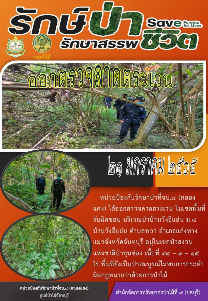 วันที่ 21 มกราคม 2565 หน่วยป้องกันรักษาป่าที่ จบ.8 (คลองแดง) ได้ออกตรวจลาดตระเวนในเขตพื้นที่รับผิดชอบ บริเวณป่าบ้านวังอีแอ่น หมู่ที่ 8 บ้านวังอีแอ่น ตำบลพวา อำเภอแก่งหางแมว จังหวัดจันทบุรี อยู่ในเขตป่าสงวนแห่งชาติป่าขุนซ่อง เนื้อที่ 44-3-15 ไร่ พื้นที่ยังเป็นป่าสมบูรณ์ ไม่พบการกระทำผิดกฎหมายว่าด้วยการป่าไม้