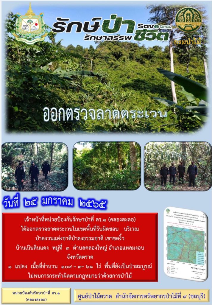 วันที่ 25 มกราคม 2565 เจ้าหน้าที่หน่วยป้องกันรักษาป่าที่ ตร.1 (คลองสะตอ) ได้ออกตรวจลาดตระเวนในเขตพื้นที่รับผิดชอบ บริเวณป่าสงวนแห่งชาติป่าดงธรรมชาติ เขาขดงิ้ว บ้านเนินดินแดง หมู่ที่ 3 ตำบลคลองใหญ่ อำเภอแหลมงอบ จังหวัดตราด จำนวน 1 แปลง เนื้อที่ 109-3-61 ไร่ พื้นที่ยังเป็นป่าสมบูรณ์ ไม่พบการกระทำผิดตามกฎหมายว่าด้วยการป่าไม้