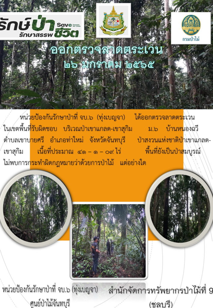 วันที่ 26 มกราคม 2565 หน่วยป้องกันรักษาป่าที่ จบ.6 (ทุ่งเบญจา) ได้ออกตรวจลาดตระเวนในเขตพื้นที่รับผิดชอบ บริเวณป่าเขาแกลด-เขาสุกิม หมู่ที่ 6 บ้านหนองฉวี ตำบลเขาบายศรี อำเภอท่าใหม่ จังหวัดจันทบุรี ป่าสงวนแห่งชาติป่าเขาแกลด-เขาสุกิม เนื้อที่ประมาณ 41-1-09 ไร่ พื้นที่ยังเป็นป่าสบูรณ์ ไม่พบการกระทำผิดกฎหมายว่าด้วยการป่าไม้แต่อย่างใด