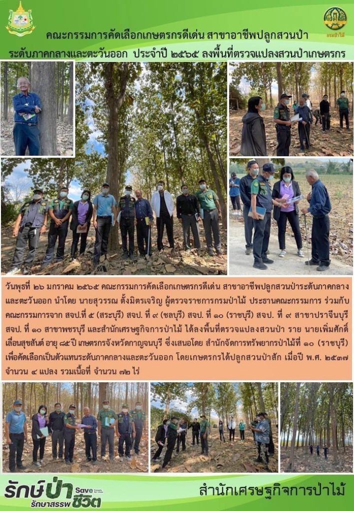 วันที่ 26 มกราคม 2565 คณะกรรมการคัดเลือกเกษตรกรดีเด่น สาขาอาชีพปลูกสวนป่าระดับภาคกลางและภาคตะวันออก นำโดยนายสุวรรณ ตั้งมิตรเจริญ ผู้ตรวจราชการกรมป่าไม้ ประธานคณะกรรมการ ร่วมกับคณะกรรมการจาก สจป.ที่ 5 (สระบุรี) สจป. ที่ 9 (ชลบุรี) สจป.ที่ 10 (ราชบุรี) สจป.ที่ 9 สาขาปราจีนบุรี สจป.ที่ 10 สาขาเพชรบุรี และสำนักเศรษฐกิจการป่าไม้ ได้ลงพื้นที่ตรวจแปลงสวนป่า รายนายเพิ่มศักดิ์ เลื่อนสุขสันต์ เกษตรกรจังหวัดกาญจน์บุรี ซึ่งเสนอโดยสำนักจัดการทรัพยากรป่าไม้ที่ 10 (ราชบุรี) เพื่อคัดเลือกเป็นตัวแทนระดับภาคกลางและภาคตะวันออก โดยเกษตรกรได้ปลูกสวนป่าสัก เมื่อปี พ.ศ. 2537 จำนวน 4 แปลง รวมเนื้อที่ จำนวน 72 ไร่