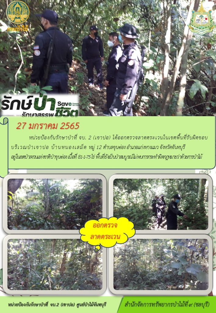 วันที่ 27 มกราคม 2565 หน่วยป้องกันรักษาป่าที่ จบ.2 เขาปอ) ได้ออกตรวจลาดตระเวนในเขตพื้นที่รับผิดชอบ บริเวณป่าเขาปอ บ้านหนองเสม็ด หมู่ที่ 12 ตำบลขนซ่อง อำเภอแก่งหางแมว จังหวัดจันทบุรี อยู่ในเขตป่าสงวนแห่งชาติป่าขุนซ่อง เนื้อที่ 81-1-75 ไร่ พื้นที่ยังเป็นป่าสมบูรณ์ ไม่พบการกระทำผิดกฎหมายว่าด้วยการป่าไม้