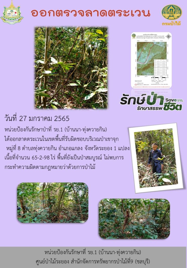 วันที่ 27 มกราคม 2565 หน่วยป้องกันรักษาป่าที่ รย.1 (บ้านนา-ทุ่งควายกิน) ได้ออกลาดตระเวนในเขตพื้นที่รับผิดชอบ บริเวณป่าเขาจุก หมู่ที่ 8 ตำบลทุ่งควายกิน อำเภอแกลง จังหวัดระยอง จำนวน 1 แปลง เนื้อที่ 65-2-98 ไร่ พื้นที่ยังเป็นป่าสมบูรณ์ ไม่พบการกระทำผิดตามกฎหมายว่าด้วยการป่าไม้