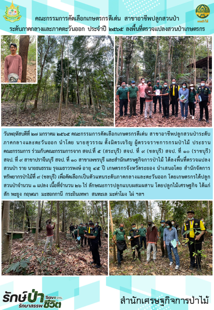 วันที่ 27 มกราคม 2565 คณะกรรมการคัดเลือกเกษตรกรดีเด่น สาขาอาชีพปลูกสวนป่าระดับภาคกลางและภาคตะวันออก นำโดยนายสุวรรณ ตั้งมิตรเจริญ ผู้ตรวจราชการกรมป่าไม้ ประธานคณะกรรมการ ร่วมกับคณะกรรมการจาก สจป.ที่ 5 (สระบุรี) สจป. ที่ 9 (ชลบุรี) สจป.ที่ 10 (ราชบุรี) สจป.ที่ 9 สาขาปราจีนบุรี สจป.ที่ 10 สาขาเพชรบุรี และสำนักเศรษฐกิจป่าไม้ ได้ลงพื้นที่ตรวจแปลงสวนป่า รายนายธรธรรม รุจเมธาวรพงษ์ เกษตรกรจังหวัดระยอง นำเสนอโดย สำนักจัดการทรัพยากรป่าไม้ที่ 9 (ชลบุรี) เพื่อคัดเลือกเป็นตัวแทนระดับภาคกลางและภาคตะวันออก โดยเกษตรกรได้ปลูกสวนป่าจำนวน 1 แปลง เนื้อที่ 26 ไร่ ลักษณะการปลูกแบบผสมผสาน โดยปลูกไม้เศรษฐกิจ ได้แก่ สัก พะยูง กฤษณา มะฮอกกานี กระถินเทพา สนทะเล มะค่าโมง ไผ่ ฯลฯ