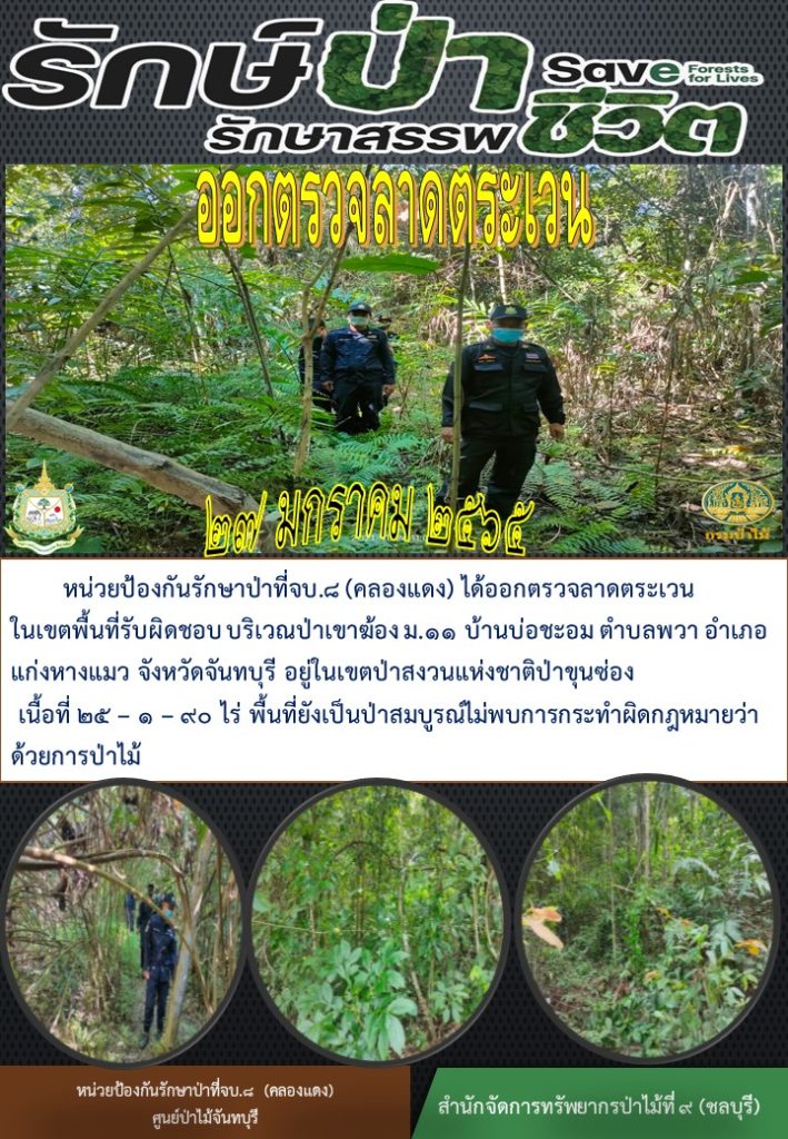 วันที่ 27 มกราคม 2565 หน่วยป้องกันรักษาป่าที่ จบ.8 (คลองแดง) ได้ออกตรวจลาดตระเวนในเขตพื้นที่รับผิดชอบ บริเวณป่าเขาฆ้อง หมู่ที่ 11 บ้านบ่อชะอม ตำบลพวา อำเภอแก่งหางแมว จังหวัดจันทบุรี อยู่ในเขตป่าสงวนแห่งชาติป่าขุนซ่อง เนื้อที่ 25-1-90 ไร่ พื้นที่ยังเป็นป่าสมบูรณ์ ไม่พบการกระทำผิดกฎหมายว่าด้วยการป่าไม้