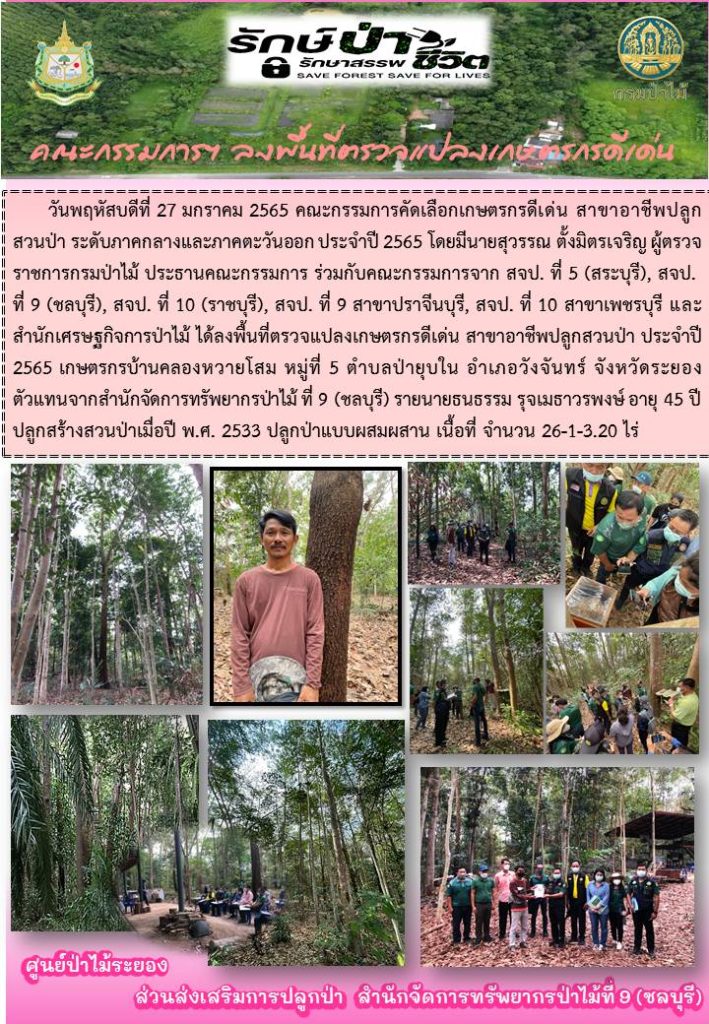 วันที่ 27 มกราคม 2565 คณะกรรมการคัดเลือกเกษตรกรดีเด่น สาขาอาชีพปลูกสวนป่า ระดับภาคกลางและภาคตะวันออก ประจำปี 2565 โดยนายสุวรรณ ตั้งมิตรเจริญ ผู้ตรวจราชการกรมป่าไม้ ประธานคณะกรรมการ ร่วมกับคณะกรรมการจาก สจป.ที่ 5 (สระบุรี) สจป. ที่ 9 (ชลบุรี) สจป.ที่ 10 (ราชบุรี) สจป.ที่ 9 สาขาปราจีนบุรี สจป.ที่ 10 สาขาเพชรบุรี และสำนักเศรษฐกิจป่าไม้ ได้ลงพื้นที่ตรวจแปลงเกษตรกรดีเด่น สาขาอาชีพปลูกสวนป่า ประจำปี 2565 เกษตรกรบ้านคลองหวายโสม หมู่ที่ 5 ตำบลป่ายุบใน อำเภอวังจันทร์ จังหวัดระยอง ตัวแทนจากสำนักจัดการทรัพยากรป่าไม้ที่ 9 (ชลบุรี) รายนายธรธรรม รุจเมธาวรพงษ์ ปลูกสวนป่าเมื่อปี พ.ศ. 2533 ปลูกป่าแบบผสมผสาน เนื้อที่ 26-1-20 ไร่