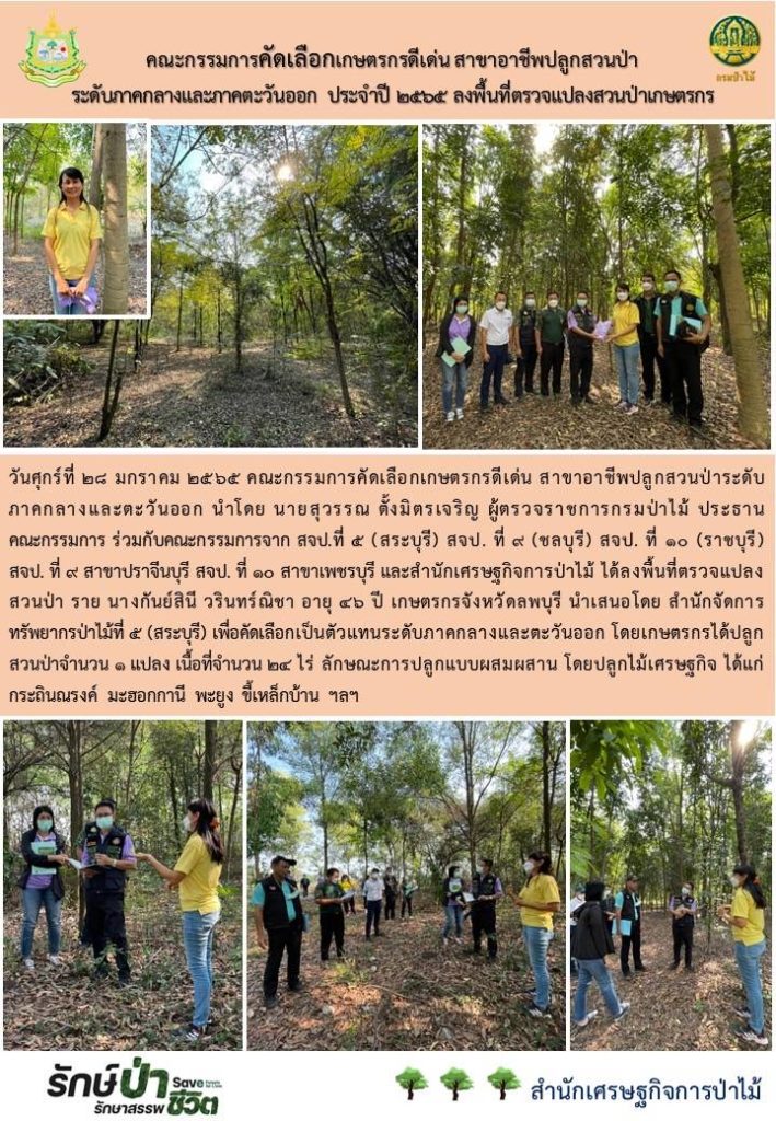 วันที่ 28 มกราคม 2565 คณะกรรมการคัดเลือกเกษตรกรดีเด่น สาขาอาชีพปลูกสวนป่าระดับภาคกลางและภาคตะวันออก นำโดยนายสุวรรณ ตั้งมิตรเจริญ ผู้ตรวจราชการกรมป่าไม้ ประธานคณะกรรมการ ร่วมกับคณะกรรมการจาก สจป.ที่ 5 (สระบุรี) สจป.ที่ 9 (ชลบุรี) สจป.ที่ 10 (ราชบุรี) สจป.ที่ 9 สาขาปราจีนบุรี สจป.ที่ 10 สาขาเพชรบุรี และสำนักเศษรฐกิจการป่าไม้ ได้ลงพื้นที่ตรวจแปลงทรัพยากรป่าไม้ที่ 5 (สระบุรี) เพื่อคัดเลือกเป็นตัวแทนระดับภาคกลางและภาคตะวันออก โดยเกษตรกรได้ปลูกสวนป่าจำนวน 1 แปลง เนื้อที่ 24 ไร่ ลักษณะการปลูกแบบผสมผสาน โดยปลูกไม้เศษรฐกิจ ได้แก่ กระถินณรงค์ มะฮอกกานี พะยูง ขี้เหล็กบ้าน ฯลฯ