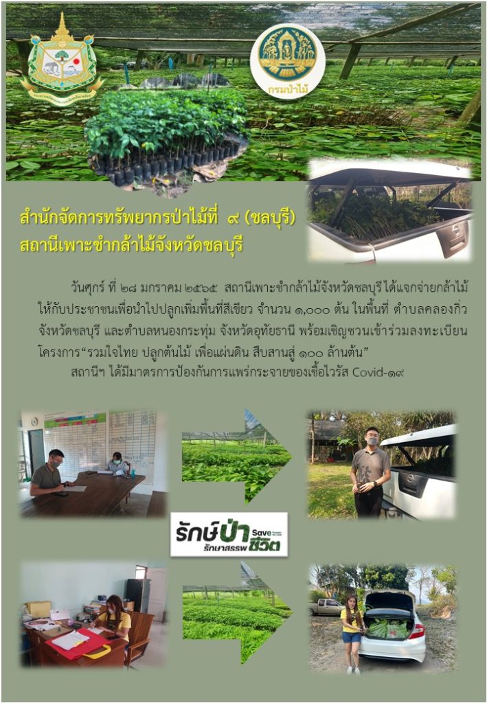 วันที่ 28 มกราคม 2565 สถานีเพาะชำกล้าไม้จังหวัดชลบุรี ได้แจกจ่ายกล้าไม้ให้กับระชาชนเพื่อนำไปปลูกเพิ่มพื้นที่สีเขียว จำนวน 1,000 ต้น ในพื้นที่ตำบลคลองกิ่ว จังหวัดชลบุรี และตำบลหนองกระทุ่ม จังหวัดอุทัยธานี พร้อมเชิญชวนเข้าร่วมลงทะเบียน โครงการ "รวมใจไทย ปลูกต้นไม้ เพื่อแผ่นดิน สืบสานสู่ 100 ล้านต้น"