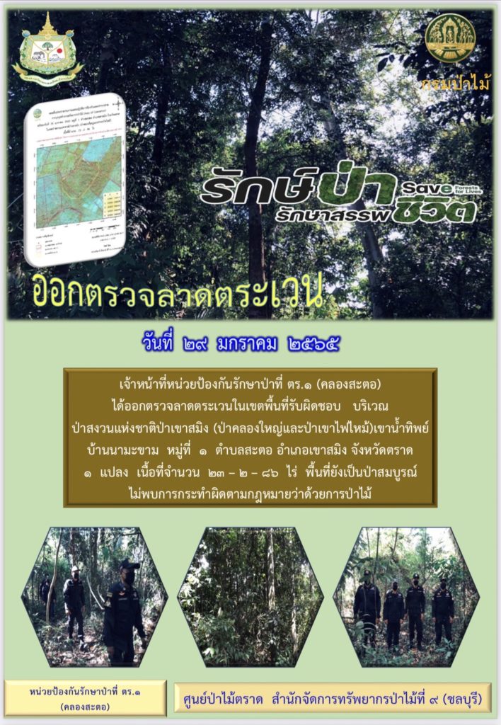 วันที่ 29 มกราคม 2565 เจ้าหน้าที่หน่วยป้องกันรักษาป่าที่ ตร.1 (คลองสะตอ) ได้ออกตรวจลาดตระเวนในเขตพื้นที่รับผิดชอบ บริเวณป่าสงวนแห่งชาติป่าเขาสมิง (ป่าคลองใหญ่และป่าเขาไฟไหม้) เขาน้ำทิพย์ บ้านมะขาม หมู่ที่ 1 ตำบลสะตอ อำเภอเขาสมิง จังหวัดตราด จำนน 1 แปลง เนื้อที่ 23-2-86 ไร่ พื้นที่ยังเป็นป่าสมบูรณ์ ไม่พบการกระทำผิดตามกฎหมายว่าด้วยการป่าไม้