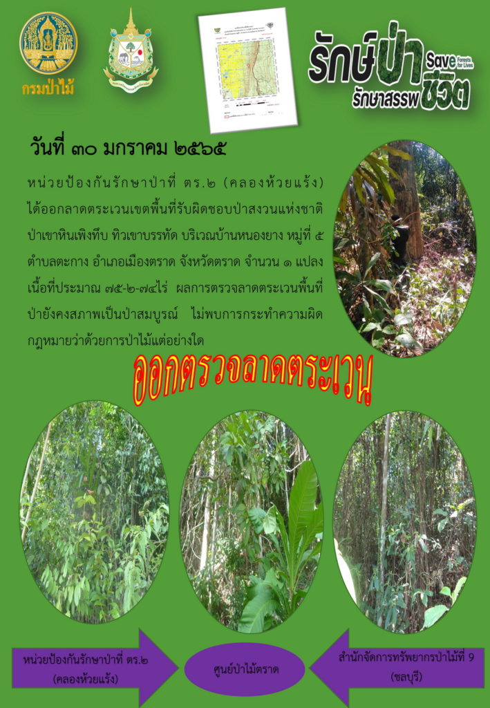 วันที่ 30 มกราคม 2565 หน่วยป้องกันรักษาป่าที่ ตร.2 (คลองห้วยแร้ง) ได้ออกลาดตระเวนเขตพื้นที่รับผิดชอบป่าสงวนแห่งชาติป่าเขาหินเพิงทึบ ทิวเขาบรรทัด บริเวณบ้านหนองยาง หมู่ที่ 5 ตำบลตะกาง อำเภอเมืองตราด จังหวัดตราด จำนวน 1 แปลง เนื้อที่ประมาณ 75-2-74 ไร่ ผลการตรวจลาดตระเวน พื้นที่ป่ายังคงสภาพเป็นป่าสมบูรณ์ ไม่พบการกระทำความผิดตามกฎหมายว่าด้วยการป่าไม้แต่อย่างใด