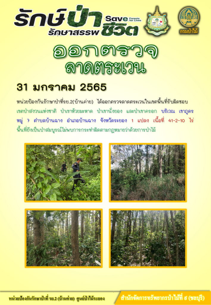 วันที่ 31 มกราคม 2565 หน่วยป้องกันรักษาป่าที่ รย.2 (บ้านค่าย) ได้ออกตรวจลาดตระเวนในเขตพื้นที่รับผิดชอบเขตป่าสงวนแห่งชาติ ป่าเขาห้วยมะหาด ป่าเขานั่งยอง และป่าเขาครอก บริเวณเขาภูดร หมู่ที่ 7 ตำบลบ้านฉาง อำเภอบ้านฉาง จังหวัดระยอง จำนวน 1 แปลง เนื้อที่ 41-2-10 ไร่ พื้นที่ยังเป็นป่าสมบูรณ์ ไม่พบการกระทำผิดตามกฎหมายว่าด้วยการป่าไม้