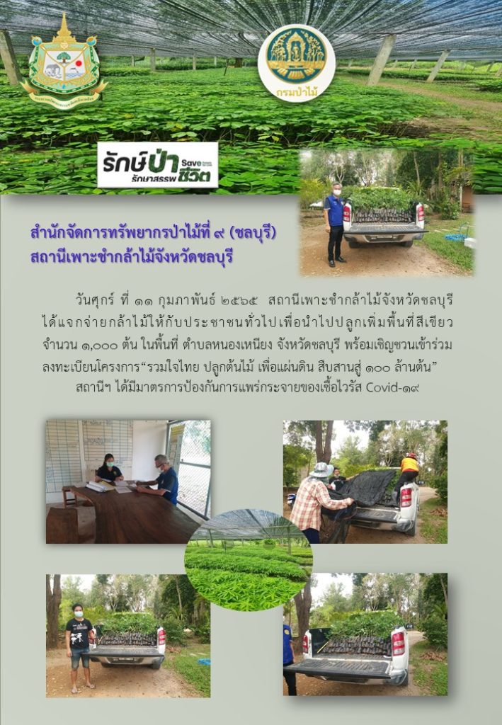 วันที่ 11 กุมภาพันธ์ 2565 สถานีเพาะชำกล้าไม้จังหวัดชลบุรี ได้แจกจ่ายกล้าไม้ให้กับประชาชนทั่วไป เพื่อนำไปปลูกเพิ่มพื้นที่สีเขียว จำนวน 1,000 ต้น ในพื้นที่ตำบลหนองเหนียง จังหวัดชลบุรี พร้อมเชิญชวนเข้าร่วมลงทะเบียนโครงการ "รวมใจไทย ปลูกต้นไม้ เพื่อแผ่นดิน สืบสานสู่ 100 ล้านต้น"