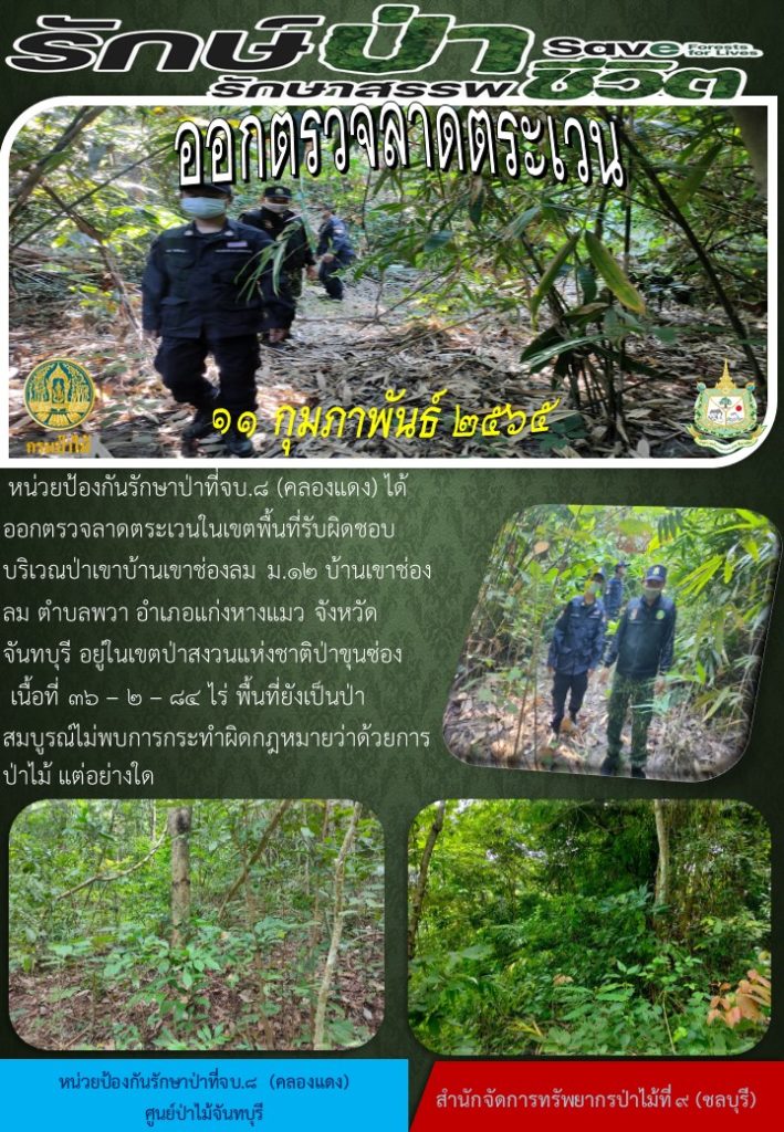 วันที่ 11 กุมภาพันธ์ 2565 หน่วยป้องกันรักษาป่าที่ จบ.8 (คลองแดง) ได้ออกตรวจลาดตระเวนในเขตพื้นที่รับผิดชอบ บริเวณป่าเขาบ้านเขาช่องลม หมู่ที่ 12 บ้านเขาช่องลม ตำบลพวา อำเภอแก่งหางแมว จังหวัดจันทบุรี อยู่ในเขตป่าสงวนแห่งชาติป่าขุนซ่อง เนื้อที่ 36-2-84 ไร่ พื้นที่ยังเป็นป่าสมบูรณ์ ไม่พบการกระทำผิดกฎหมายว่าด้วยการป่าไม้แต่อย่างใด