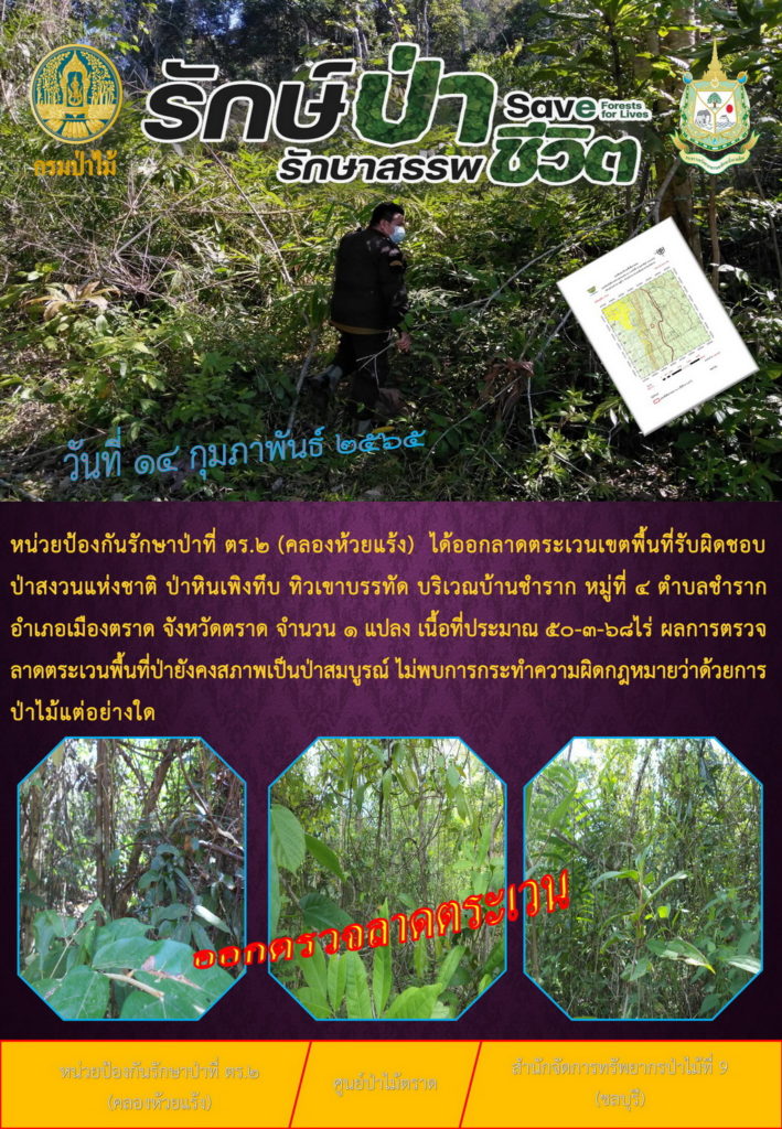 วันที่ 14 กุมภาพันธ์ 2565 หน่วยป้องกันรักษาป่าที่ ตร.2 (คลองห้วยแร้ง) ได้ออกลาดตระเวนเขตพื้นที่รับผิดชอบป่าสงวนแห่งชาติ ป่าหินเพิงทึบ ทิวเขาบรรทัด บริเวณบ้านชำราก หมู่ที่ 4 ตำบลชำราก อำเภอเมืองตราด จังหวัดตราด จำนวน 1 แปลง เนื้อที่ 50-3-68 ไร่ ผลการตรวจลาดตระเวน พื้นที่ป่ายังคงสภาพเป็นป่าสมบูรณ์ ไม่พบการกระทำความผิดตามกฎหมายว่าด้วยการป่าไม้แต่อย่างใด