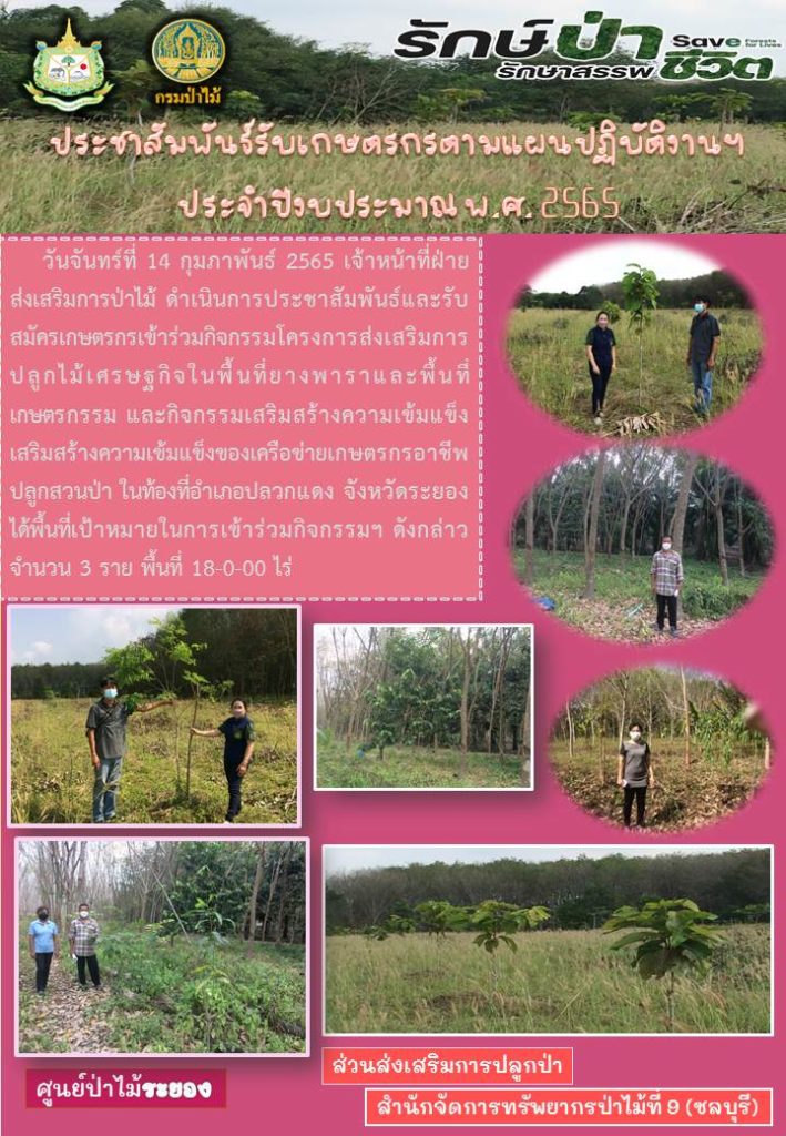 วันที่ 14 กุมภาพันธ์ 2565 เจ้าหน้าที่ฝ่ายส่งเสริมการป่าไม้ ดำเนินการประชาสัมพันธ์และรับสมัครเกษตรกรเข้าร่วมกิจกรรมโครงการส่งเสริมการปลูกไม้เศรษฐกิจในพื้นที่ปลูกยางพาราและพื้นที่เกษตรกรรม และกิจกรรมเสริมสร้างความเข้มแข็งของเครือข่ายเกษตรกรอาชีพปลูกสวนป่า ในท้องที่อำเภอปลวกแดง จังหวัดระยอง ได้พื้นที่เป้าหมายในการเข้าร่วมกิจกรรมฯ ดังกล่าว จำนวน 3 ราย พื้นที่ 18-0-00 ไร่
