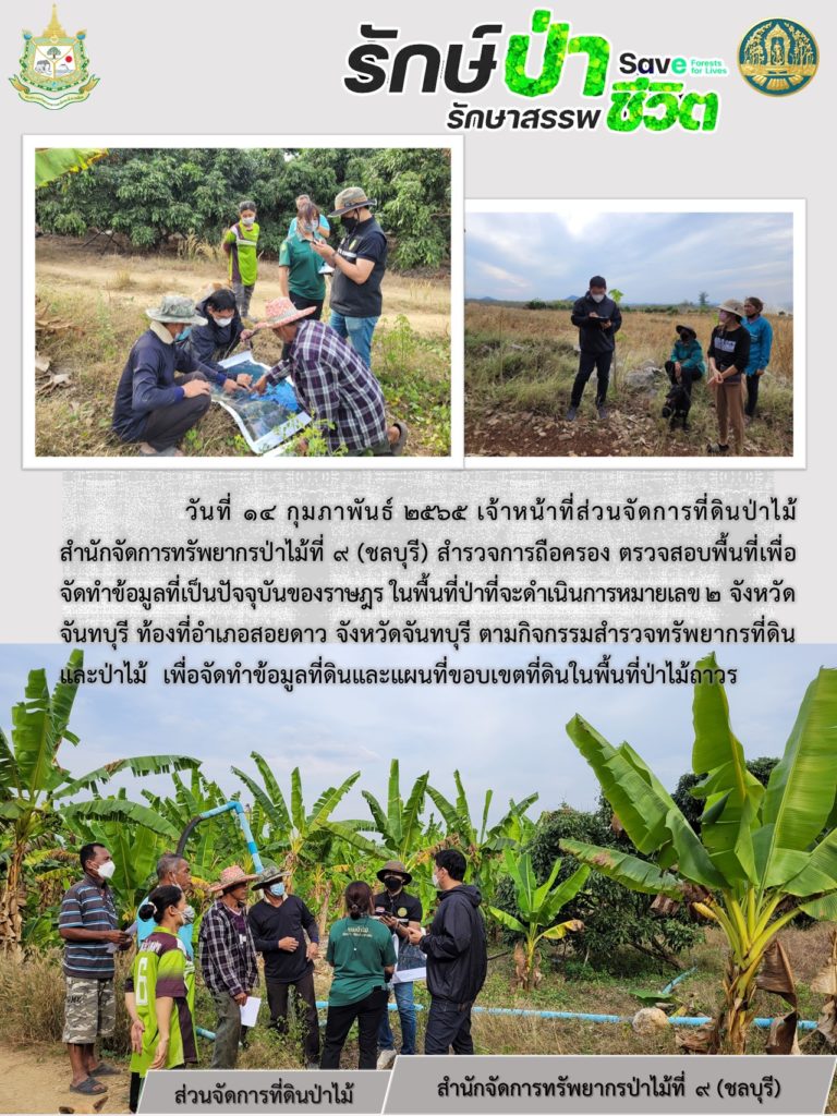 วันที่ 14 กุมภาพันธ์ 2565 เจ้าหน้าที่ส่วนจัดการที่ดินป่าไม้ สำนักจัดการทรัพยากรป่าไม้ที่ 9 (ชลบุรี) สำรวจการถือครอง ตรวจสอบพื้นที่เพื่อจัดทำข้อมูลเป็นปัจจุบันของราษฎร ในพื้นที่ป่าที่จะดำเนินการหมายเลข 2 จังหวัดจันทบุรี ท้องที่อำเภอสอยดาว จังหวัดจันทบุรี ตามกิจกรรมสำรวจทรัพยากรป่าที่ดินและป่าไม้ เพื่อจัดทำข้อมูลที่ดินและแผนที่ขอบเขตที่ดินในพื้นที่ป่าไม้ถาวร