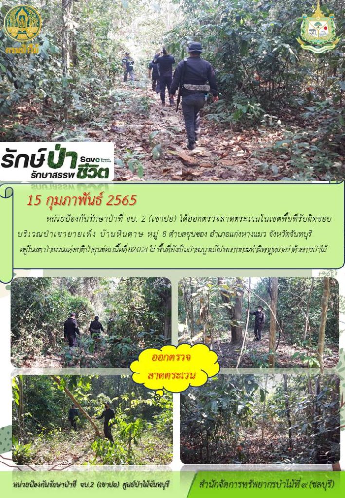 วันที่ 15 กุมภาพันธ์ 2565 หน่วยป้องกันรักษาป่าที่ จบ.2 (เขาปอ) ได้ออกตรวจลาดตระเวนในเขตพื้นที่รับผิดชอบ บริเวณป่าเขายายเพ็ง บ้านหินดาษ หมู่ที่ 8 ตำบลขุนซ่อง อำเภอแก่งหางแมว จังหวัดจันทบุรี อยู่ในเขตป่าสงวนแห่งชาติป่าขุนซ่อง เนื้อที่ 82-0-21 ไร่ พื้นที่ยังเป็นป่าสมบูรณ์ ไม่พบการกระทำผิดกฎหมายว่าด้วยการป่าไม้