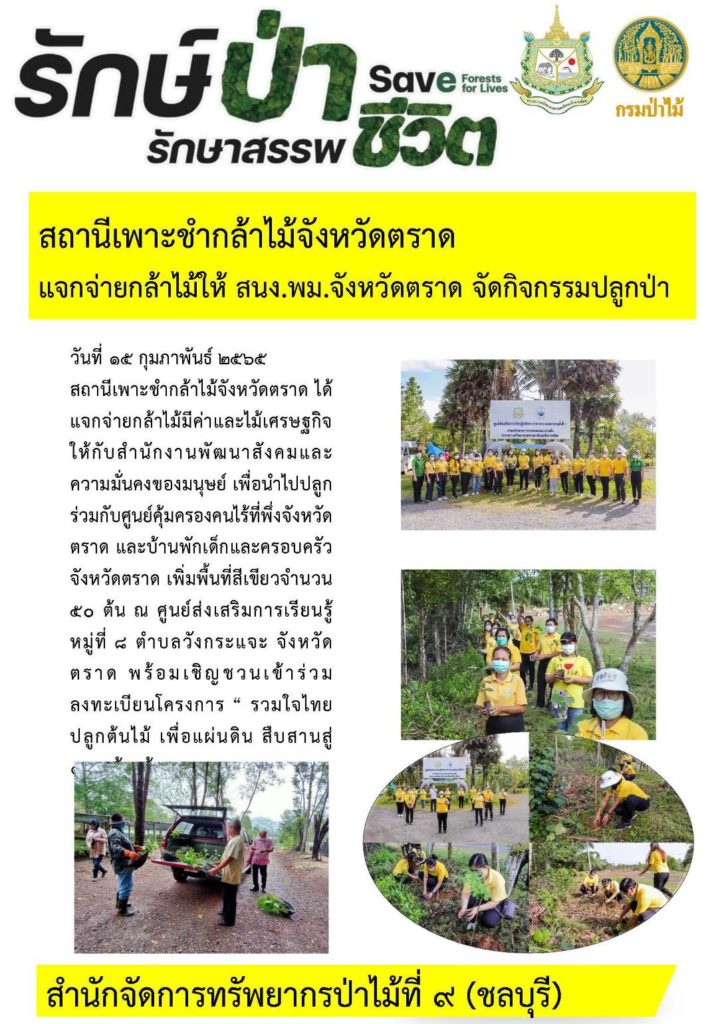 วันที่ 15 กุมภาพันธ์ 2565 สถานีเพาะชำกล้าไม้จังหวัดตราด ได้แจกจ่ายกล้าไม้มีค่าและไม้เศรษฐกิจให้กับสำนักงานพัฒนาสังคมและความมั่นคงของมนุษย์ เพื่อนำไปปลูกร่วมกับศูนย์คุ้มครองคนไร้ที่พึ่งจังหวัดตราด และบ้านพักเด็กและครอบครัวจังหวัดตราด เพิ่มพื้นที่สีเขียวจำนวน 50 ต้น ณ ศูนย์ส่งเสริมการเรียนรู้ หมู่ที่ 8 ตำบลวังกระแจะ จังหวัดตราด พร้อมเชิญชวนเข้าร่วมลงทะเบียนโครงการ "รวมใจไทย ปลูกต้นไม้ เพื่อแผ่นดิน สืบสานสู่ 100 ล้านต้น"