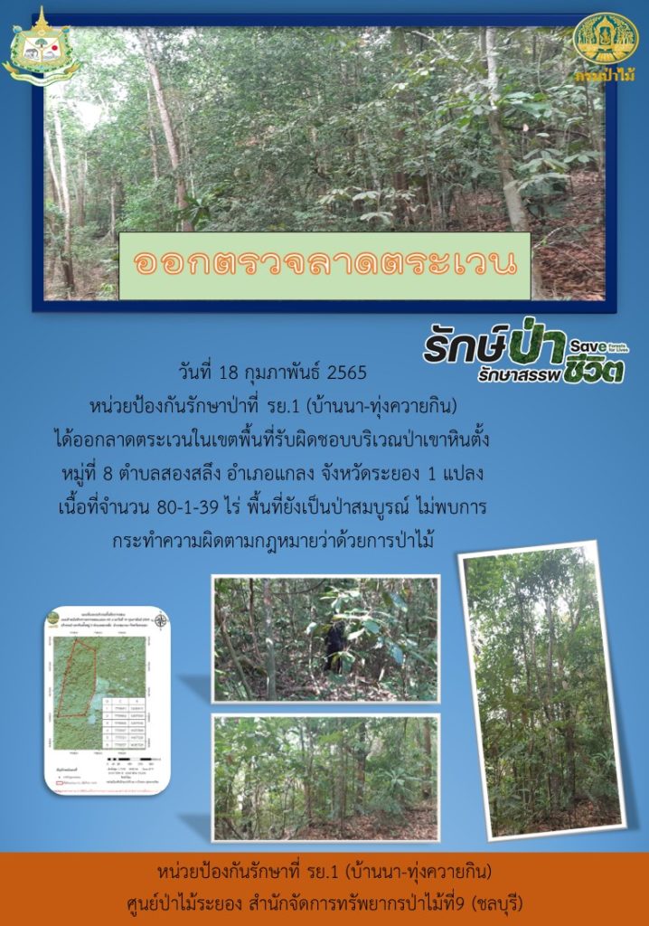 วันที่ 18 กุมภาพันธ์ 2565 หน่วยป้องกันรักษาป่าที่ รย.1 (บ้านนา-ทุ่งควายกิน) ได้ออกลาดตระเวนในเขตพื้นที่รับผิดชอบบริเวณป่าเขาหินตั้ง หมู่ที่ 8 ตำบลสองสลึง อำเภอแกลง จังหวัดระยอง จำนวน 1 แปลง เนื้อที่ 80-1-39 ไร่ พื้นที่ยังเป็นป่าสมบูรณ์ ไม่พบการกระทำความผิดตามกฎหมายว่าด้วยการป่าไม้