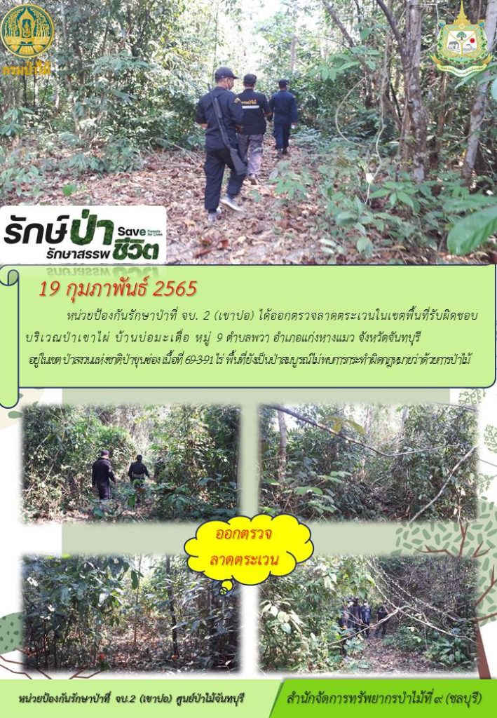 วันที่ 19 กุมภาพันธ์ 2565 หน่วยป้องกันรักษาป่าที่ จบ.2 (เขาปอ) ได้ออกตรวจลาดตระเวนในเขตพื้นที่รับผิดชอบ บริเวณป่าเขาไผ่ บ้านบ่อมะเดื่อ หมู่ที่ 9 ตำบลพวา อำเภอแก่งหางแมว จังหวัดจันทบุรี อยู่ในเขตป่าสงวนแห่งชาติป่าขุนซ่อง เนื้อที่ 69-3-91 ไร่ พื้นที่ยังเป็นป่าสมบูรณ์ ไม่พบการกระทำผิดตามกฎหมายว่าด้วยการป่าไม้