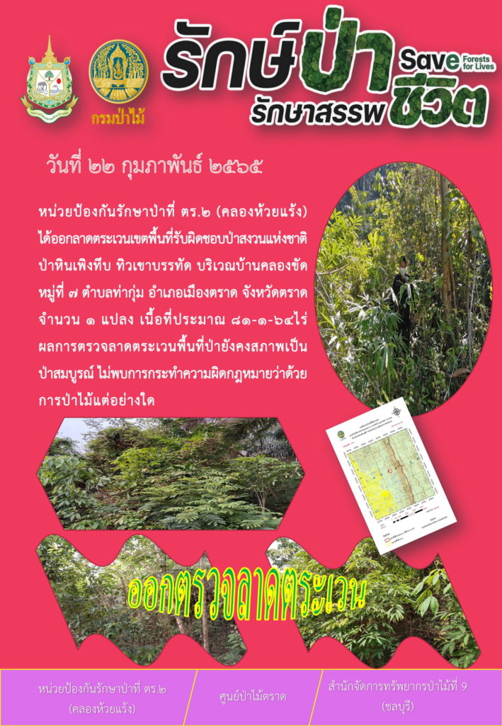 วันที่ 22 กุมภาพันธ์ 2565 หน่วยป้องกันรักษาป่าที่ ตร.2 (คลองห้วยแร้ง) ได้ออกลาดตระเวนเขตพื้นที่รับผิดชอบป่าสงวนแห่งชาติป่าหินเพิงทึบ ทิวเขาบรรทัด บริเวณบ้านคลองขัด หมู่ที่ 7 ตำบลท่ากุ่ม อำเภอเมืองตราด จังหวัดตราด จำนวน 1 แปลง เนื้อที่ 81-1-64 ไร่ ผลการตรวจลาดตระเวน พื้นที่ป่ายังคงสภาพเป็นป่าสมบูรณ์ ไม่พบการกระทำความผิดตามกฎหมายว่าด้วยการป่าไม้แต่อย่างใด