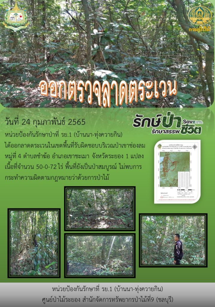 วันที่ 24 กุมภาพันธ์ 2565 หน่วยป้องกันรักษาป่าที่ รย.1 (บ้านนา-ทุ่งควายกิน) ได้ออกลาดตระเวนในเขตพื้นที่รับผิดชอบบริเวณป่าเขาช่องลม หมู่ที่ 4 ตำบลชำฆ้อ อำเภอเขาชะเมา จังหวัดระยอง จำนวน 1 แปลง เนื้อที่ 50-0-72 ไร่ พื้นที่ยังเป็นป่าสมบูรณ์ ไม่พบการกระทำผิดหฎหมายว่าด้วยการป่าไม้