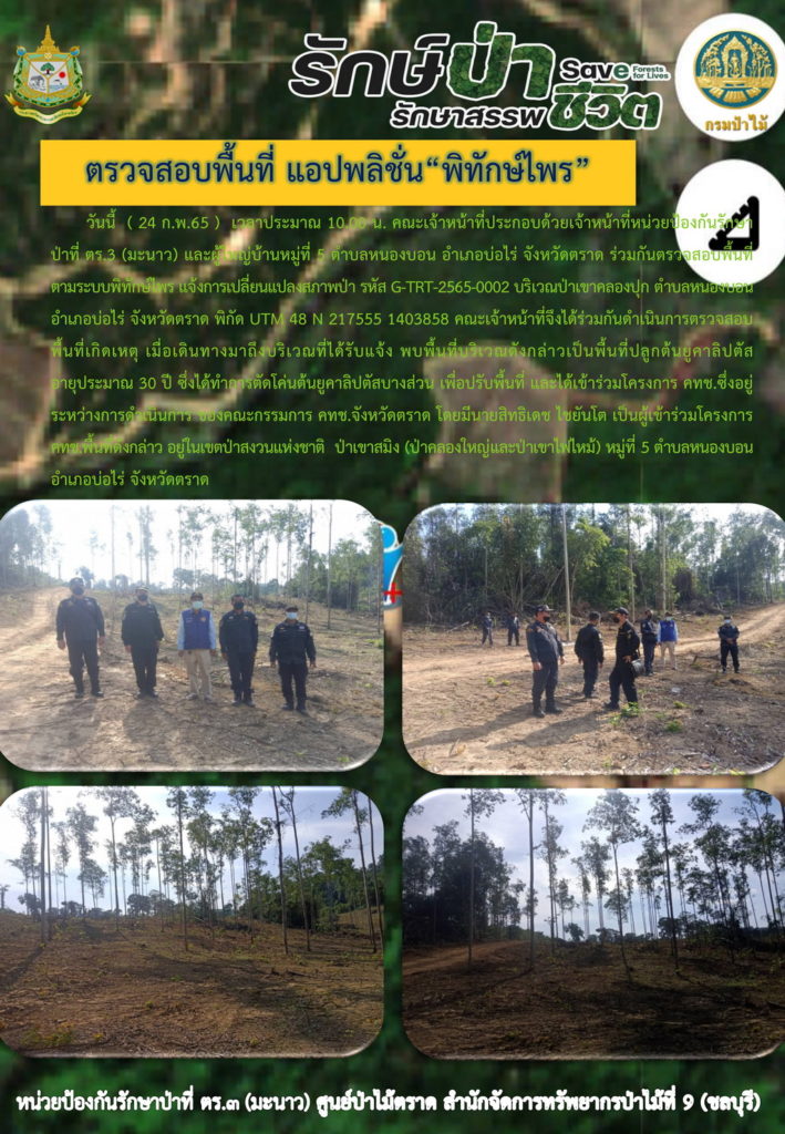 วันที่ 24 กุมภาพันธ์ 2565 เวลาประมาณ 10.00 น. คณะเจ้าหน้าที่ประกอบด้วย เจ้าหน้าที่หน่วยป้องกันรักษาป่าที่ ตร.3 (มะนาว) และผู้ใหญ่บ้านหมู่ที่ 5 ตำบลหนองบอน อำเภอบ่อไร่ จังหวัดตราด ร่วมกันตรวจสอบพื้นที่ตามระบบพิทักษ์ไพร แจ้งการเปลี่ยนแปลงสภาพป่า รหัส G-TRT-2565-0002 บริเวณป่าเขาคลองปุก ตำบลหนองบอน อำเภอบ่อไร่ จังหวัดตราด พิกัด UTM 48 N 217555 E 1403858 คณะเจ้าหน้าที่จึงได้ร่่วมกันดำเนินการตรวจสอบพื้นที่เกิดเหตุ เมื่อเดินทางมาถึงบริเวณที่ได้รับแจ้ง พบพื้นที่บริเวณดังกล่าวเป็นพื้นที่ปลูกต้นยูคาลิปตัส อายุประมาณ 30 ปี ซึ่งได้ทำการตัดโค่นต้นยูคาลิปตัสบางส่วน เพื่อปรับพื้นที่ และได้เข้าร่วมโครงการ คทช.ซึ่งอยู่ระหว่างการดำเนินการของคณะกรรมการ คทช.จังหวัดตราด โดยมีนายสิทธเดช ไชยันโต เป็นผู้เข้าร่วมโครงการ คทช. พื้นที่ดังกล่าวอยู่ในเขตป่าสงวนแห่งชาติป่าเขาสมิง (ป่าคลองใหญ่และป่าเขาไฟไหม้) หมู่ที่ 5 ตำบลหนองบอน อำเภอบ่อไร่ จังหวัดตราด