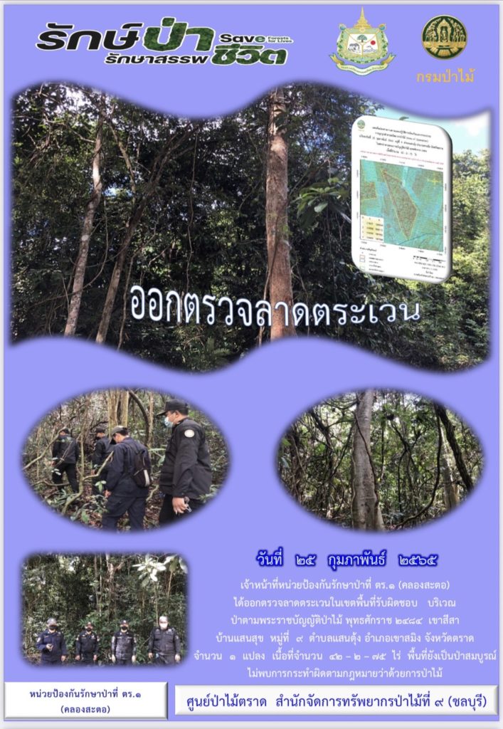 วันที่ 25 กุมภาพันธ์ 2565 เจ้าหน้าที่หน่วยป้องกันรักษาป่าที่ ตร.2 (คลองสะตอ) ได้ออกตรวจลาดตระเวนในเขตพื้นที่รับผิดชอบ บริเวณป่าตามพระราชบัญญัติป่าไม้ พุทธศักราช 2484 เขาสีสา บ้านแสนสุข หมู่ที่ 9 ตำบลแสนตุ้ง อำเภอเขาสมิง จังหวัดตราด จำนวน 1 แปลง เนื้อที่ 42-2-75 ไร่ พื้นที่ยังเป็นป่าสมบูรณ์ ไม่พบการกระทำผิดตามกฎหมายว่าด้วยการป่าไม้