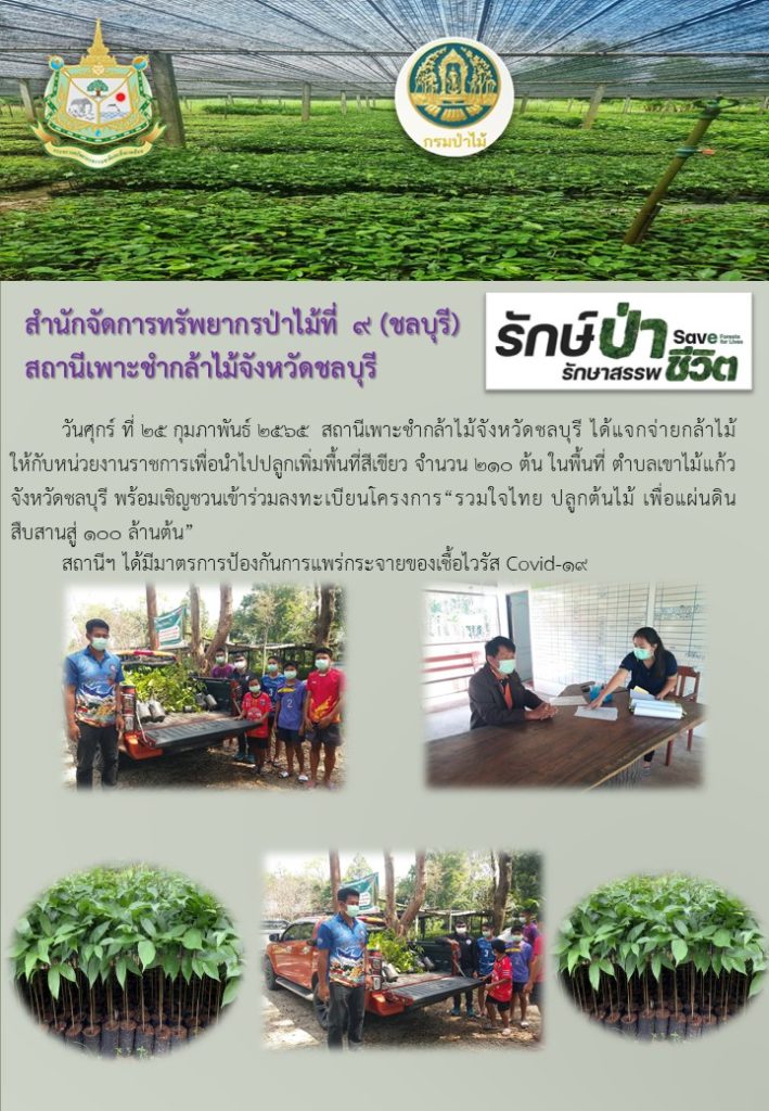 วันที่ 25 กุมภาพนัธ์ 2565 สถานีเพาะชำกล้าไม้จังหวัดชลบุรี ได้แจกจ่ายกล้าไม้ให้กับหน่วยงานราชการเพื่อนำไปปลูกเพิ่มพื้นที่สีเขียว จำนวน 210 ต้น ในพื้นที่ตำบลเขาไม้แก้ว จังหวัดชลบุรี พร้อมเชิญชวนเข้าร่วมลงทะเบียนโครงการ "รวมใจไทย ปลูกต้นไม้ เพื่อแผ่นดิน" สืบสานสู่ 100 ล้านต้น