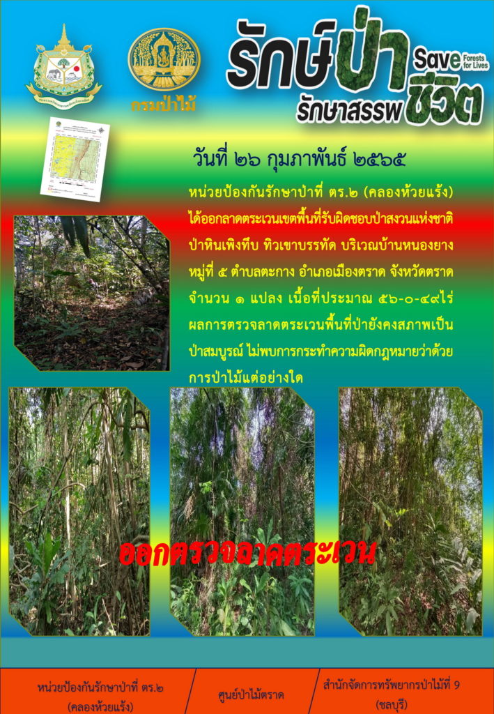 วันที่ 26 กุมภาพันธ์ 2565 หน่วยป้องกันรักษาป่าที่ ตร.2 (คลองห้วยแร้ง) ได้ออกลาดตระเวนเขตพื้นที่รับผิดชอบป่าสงวนแห่งชาติป่าหินเพิงทึบ ทิวเขาบรรทัด บริเวณบ้านหนองยาง หมู่ที่ 5 ตำบลตะกาง อำเภอเมืองตราด จังหวัดตราด จำนวน 1 แปลง เนื้อที่ประมาณ 56-0-49 ไร่ ผลการตรวจลาดตระเวน พื้นที่ป่ายังคงสภาพเป็นป่าสมบูรณ์ ไม่พบการกระทำความผิดตามกฎหมายว่าด้วยการป่าไม้แต่อย่างใด