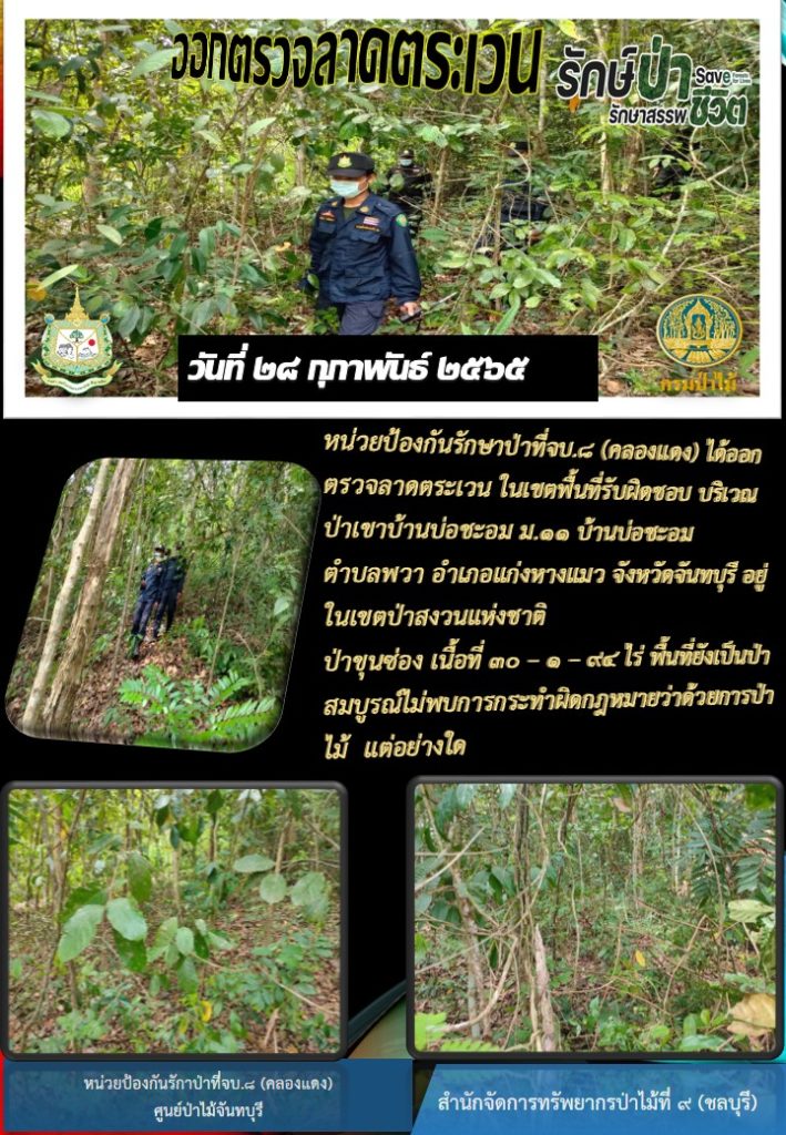 วันที่ 28 กุมภาพันธ์ 2565 หน่วยป้องกันรักษาป่าที่ จบ.8 (คลองแดง) ได้ออกตรวจลาดตระเวนในเขตพื้นที่รับผิดชอบ บริเวณป่าเขาบ้านบ่อชะอม หมู่ที่ 11 บ้านบ่อชะอม ตำบลพวา อำเภอแก่งหางแมว จังหวัดจันทบุรี อยู่ในเขตป่าสงวนแห่งชาติป่าขุนซ่อง เนื้อที่ 30-0-94 ไร่ พื้นที่ยังเป็นป่าสมบูรณ์ ไม่พบการกระทำผิดกฎหมายว่าด้วยการป่าไม้แต่อย่างใด