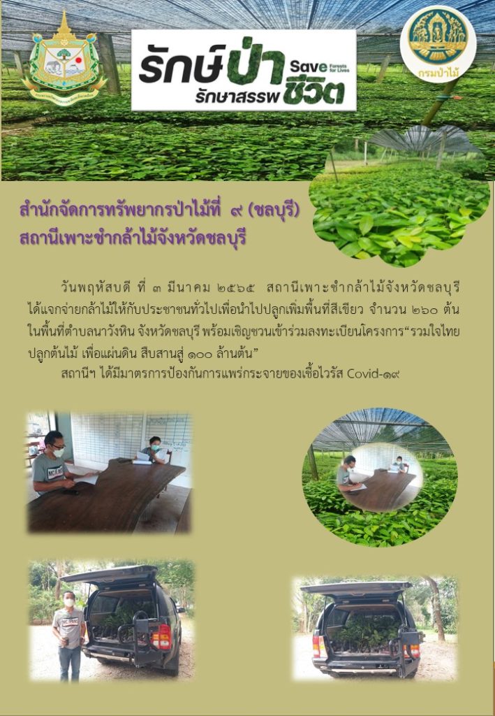 วันที่ 3 มีนาคม 2565 สถานีเพาะชำกล้าไม้จังหวัดชลบุรี ได้แจกจ่ายกล้าไม้ให้กับประชาชนทั่วไปเพื่อนำไปปลูกเพิ่มพื้นที่สีเขียว จำนวน 260 ต้น ในพื้นที่ตำบลนาวังหิน จังหวัดชลบุรี พร้อมเชิญชวนเข้าร่วมลงทะเบียนโครงการ "รวมใจไทย ปลูกต้นไม้ เพื่อแผ่นดิน สืบสานสู่ 100 ล้านต้น"